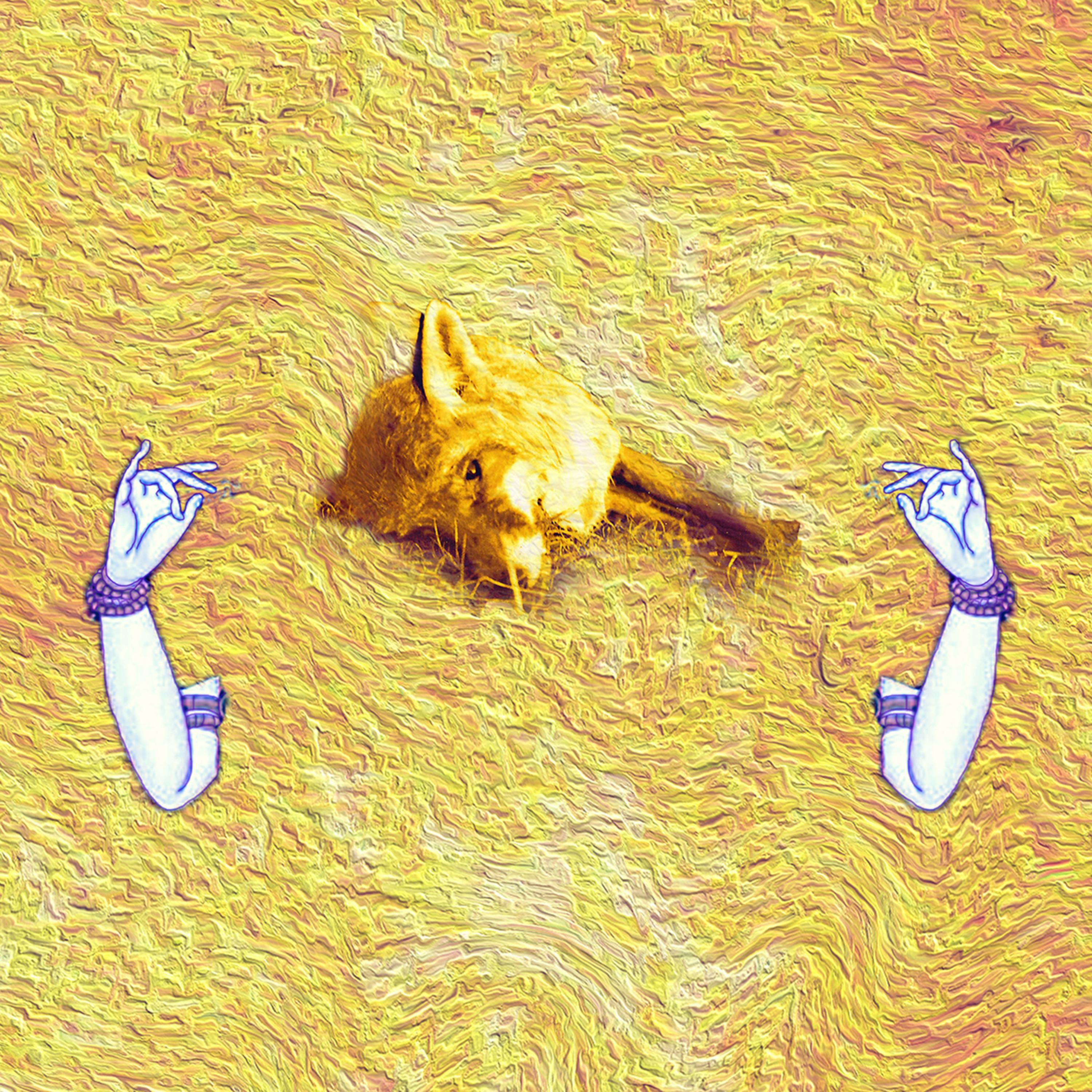 Track Image