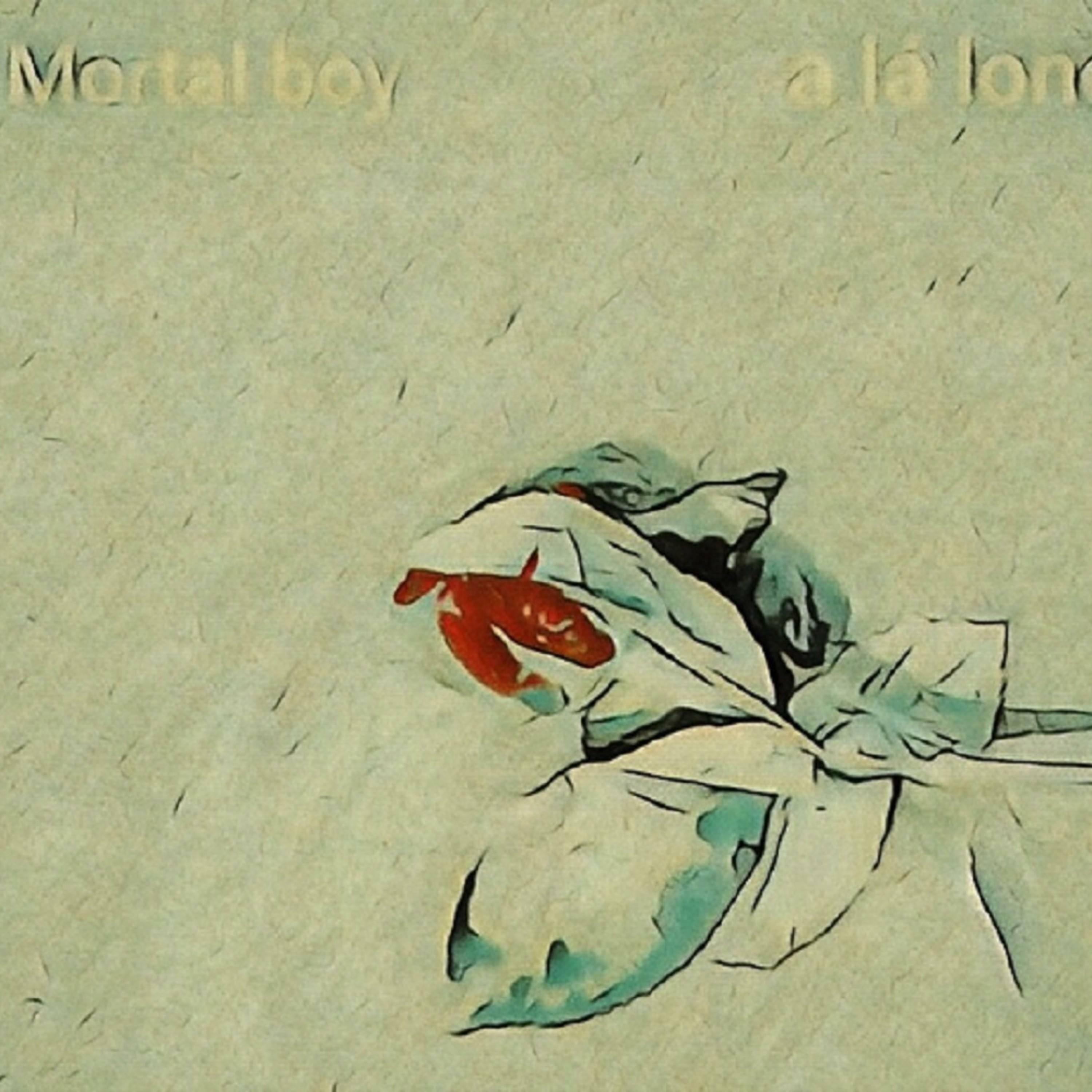 Track Image