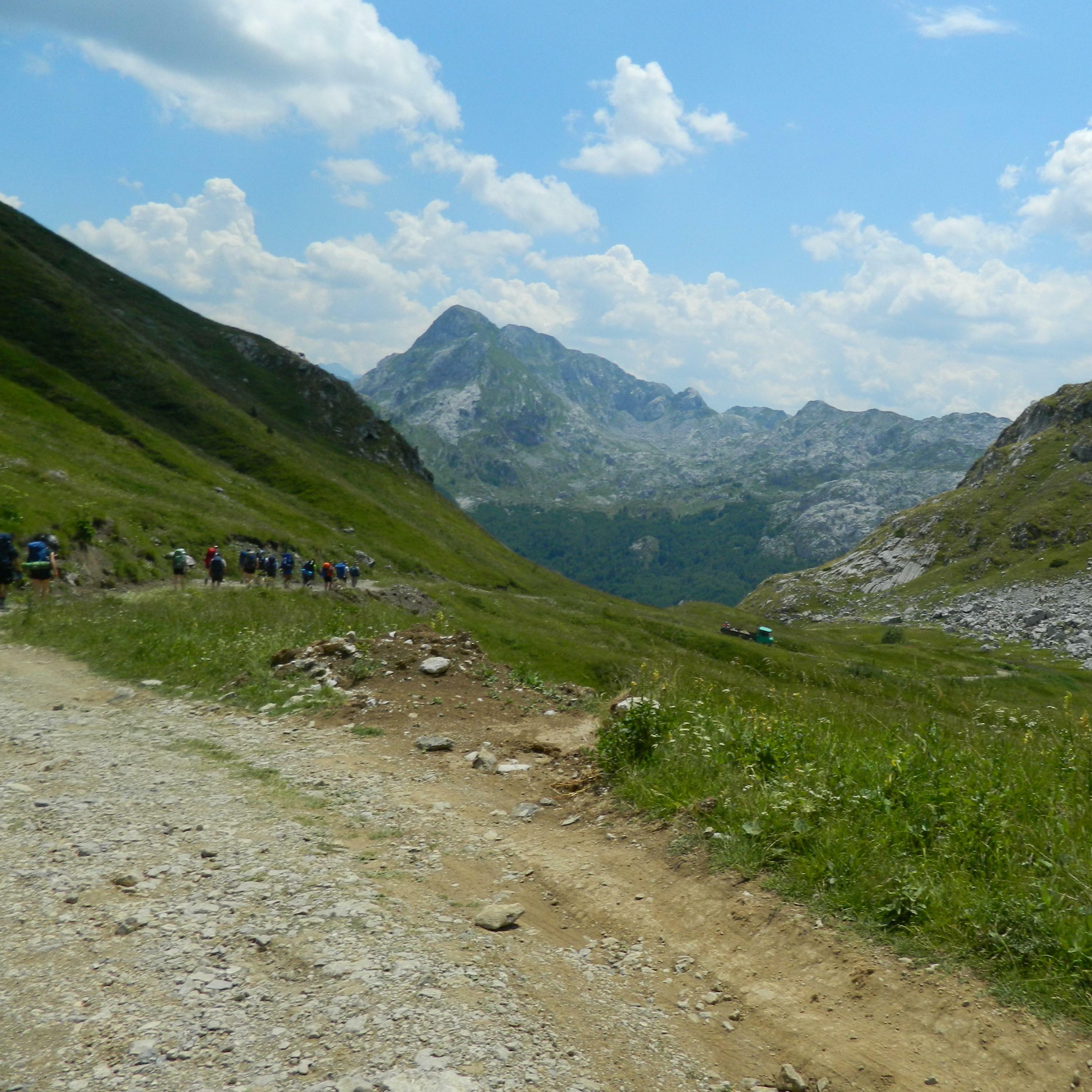 Track Image