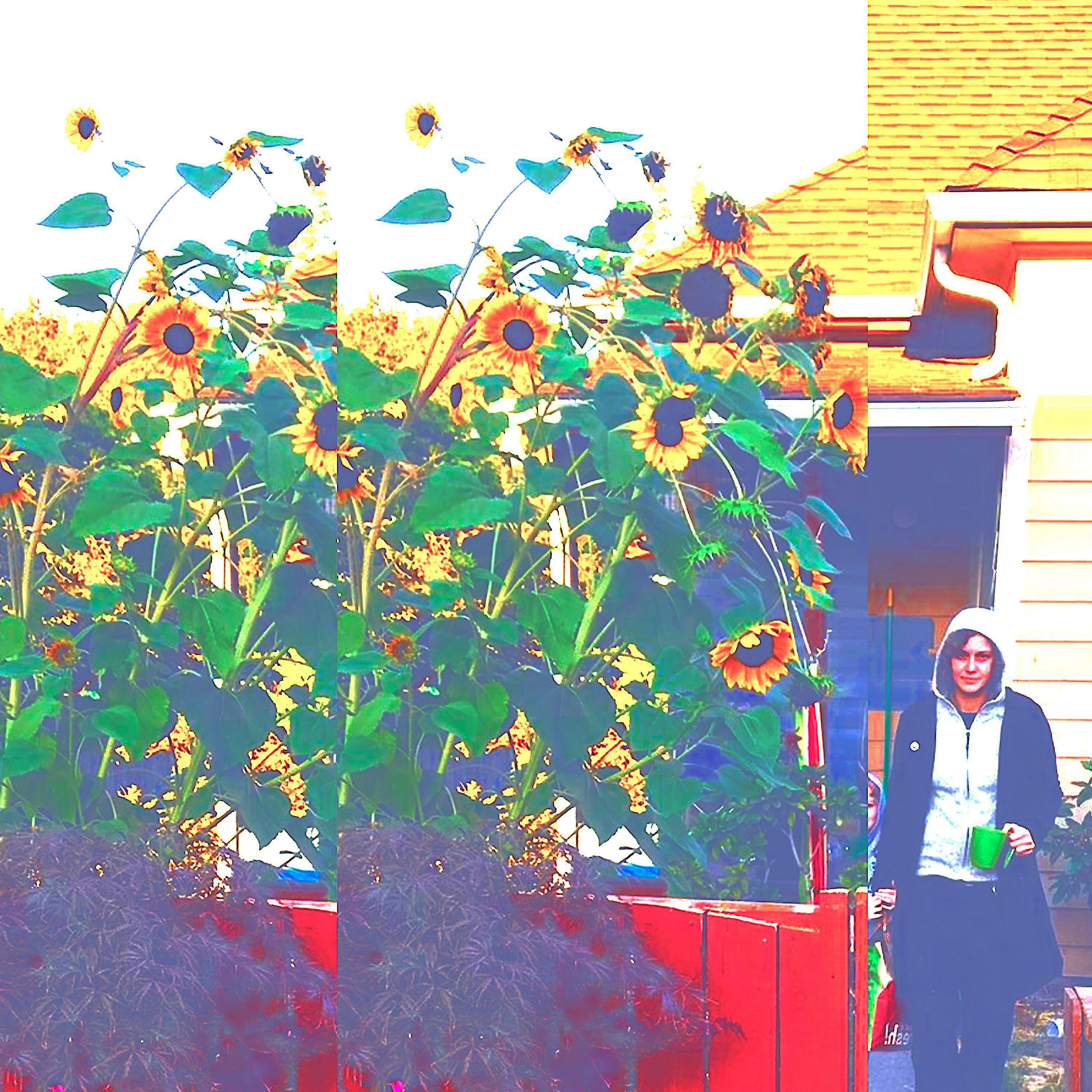 Track Image
