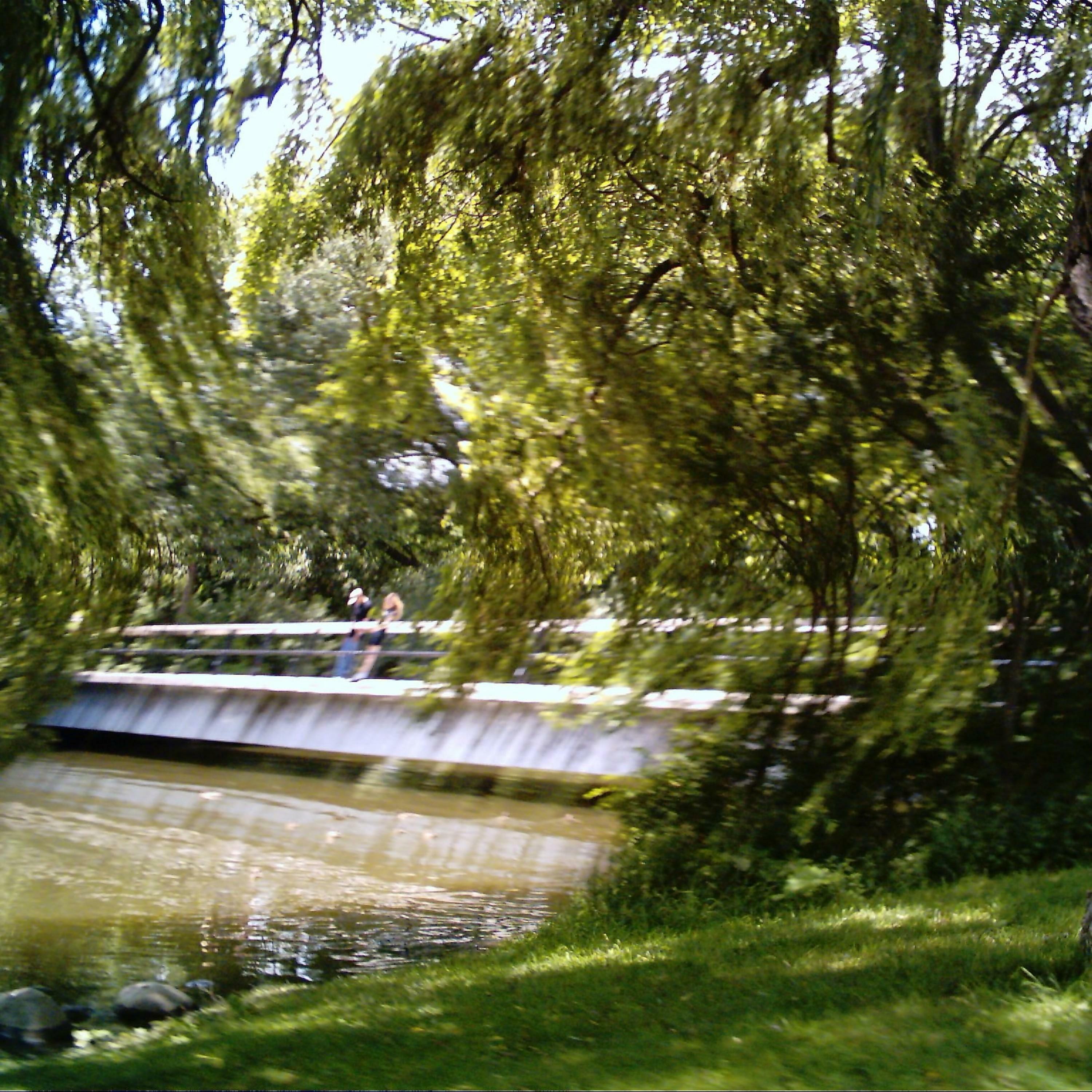 Track Image
