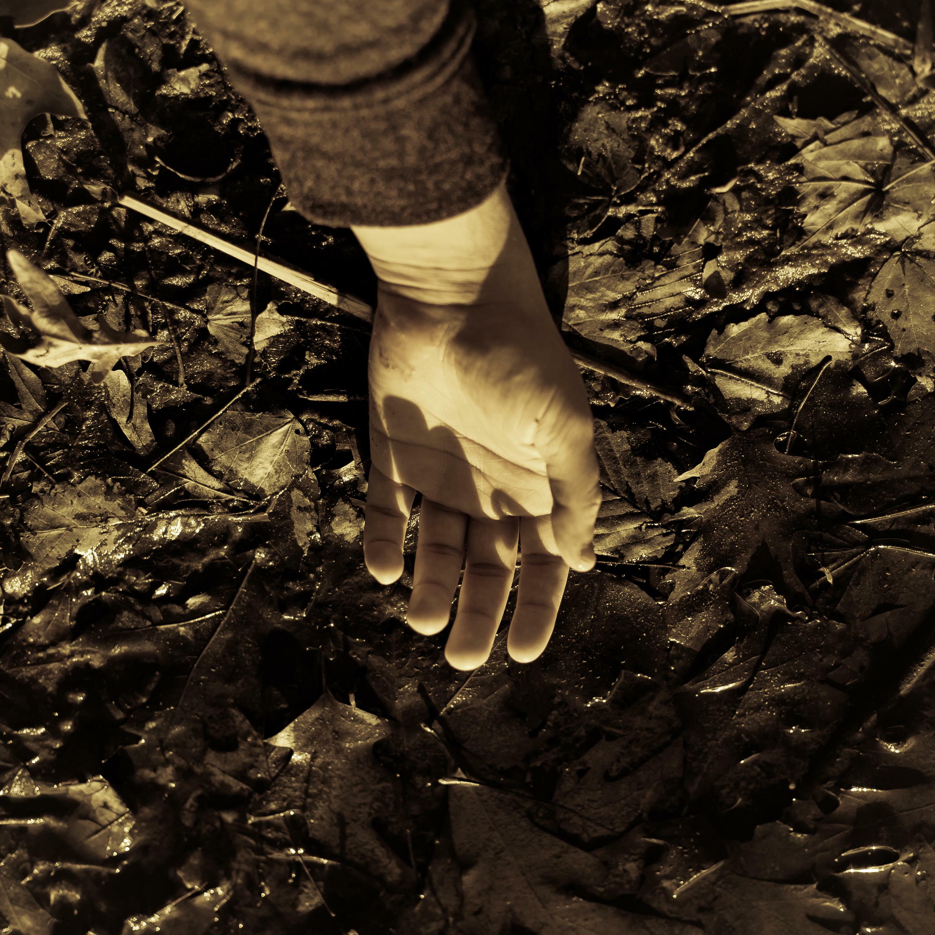 Track Image