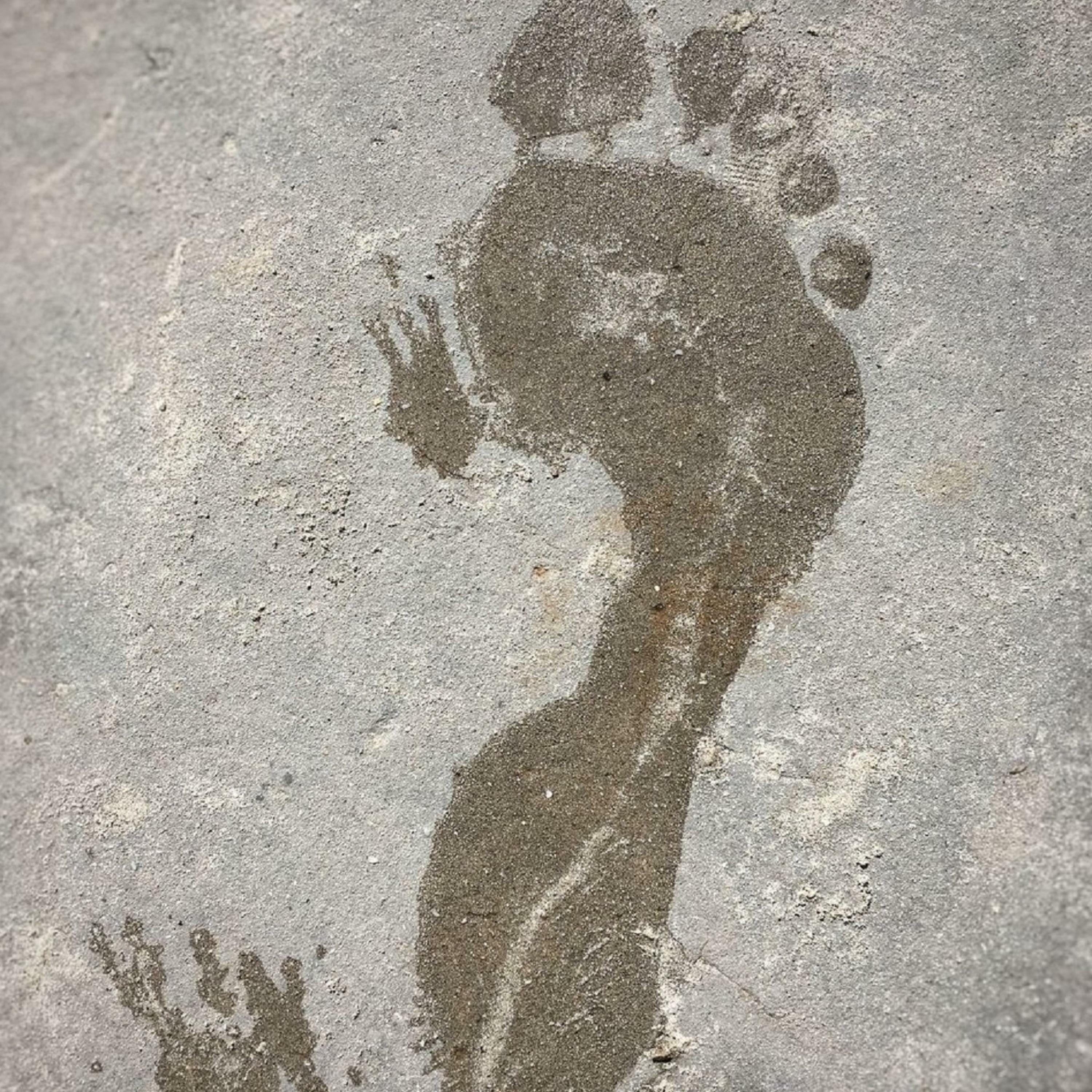 Track Image