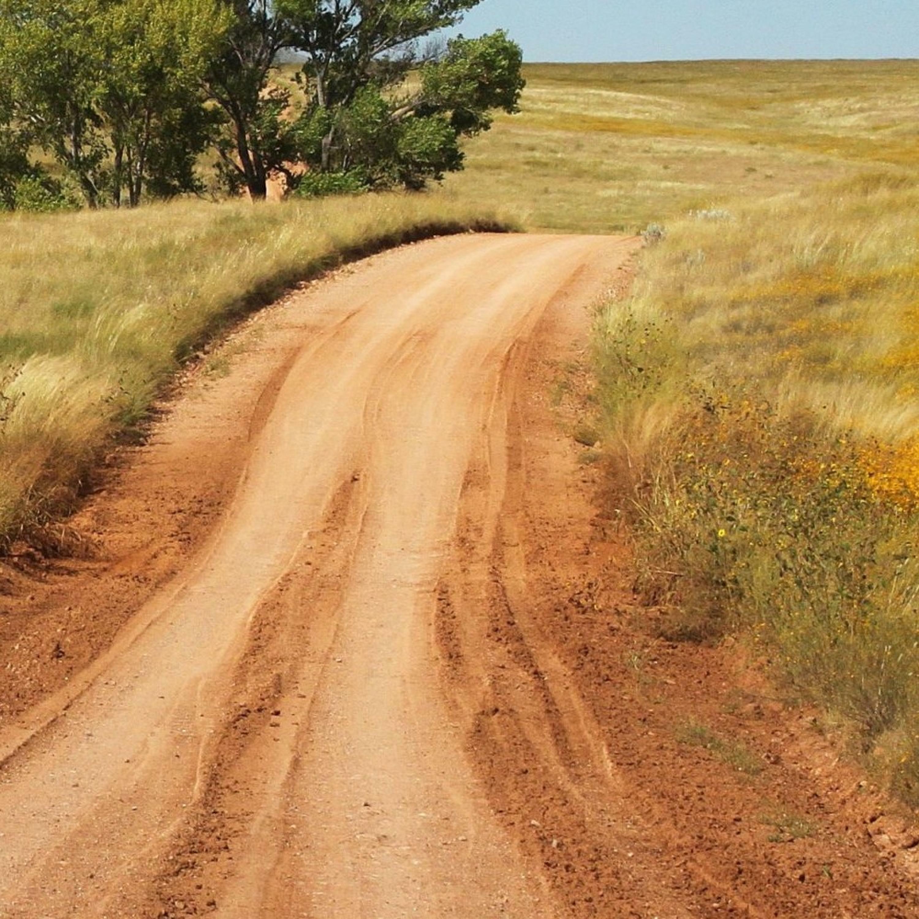 Track Image