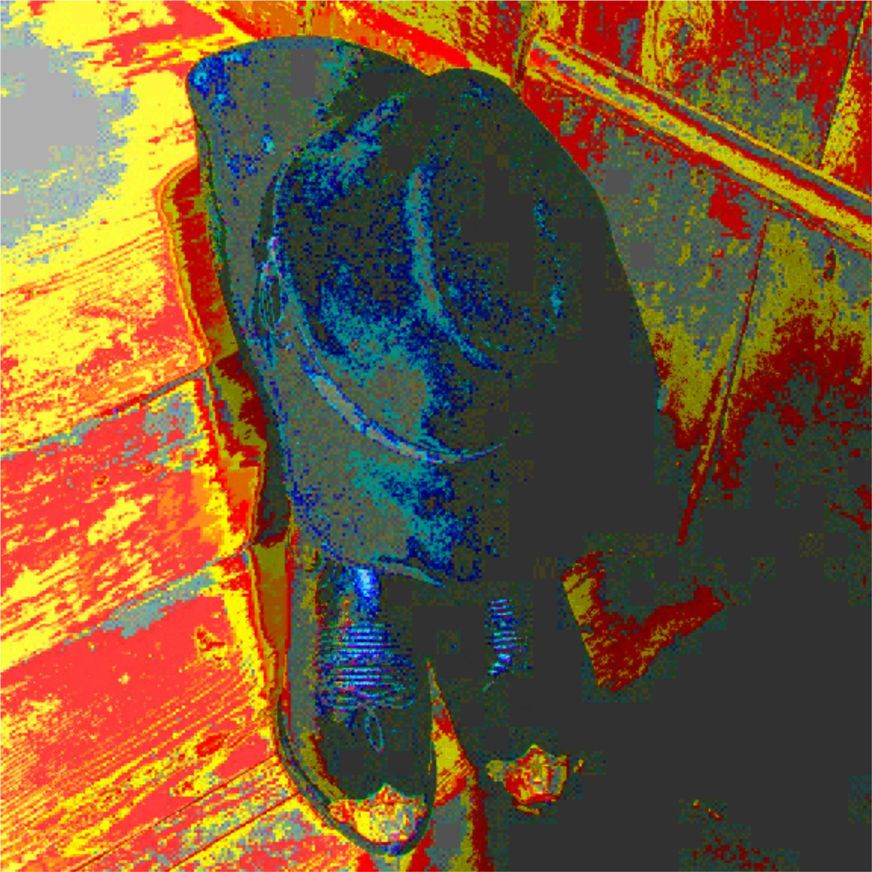 Track Image
