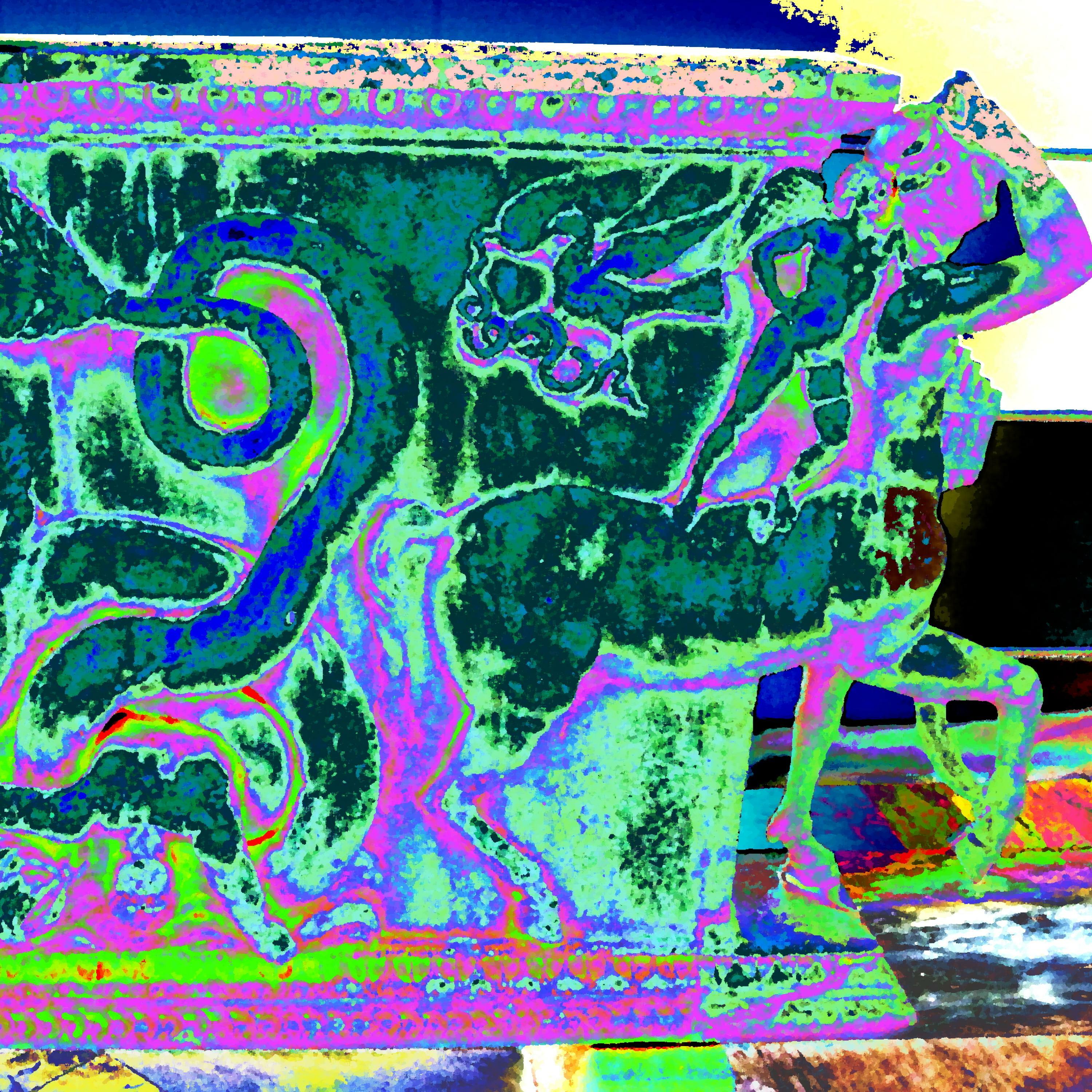 Track Image