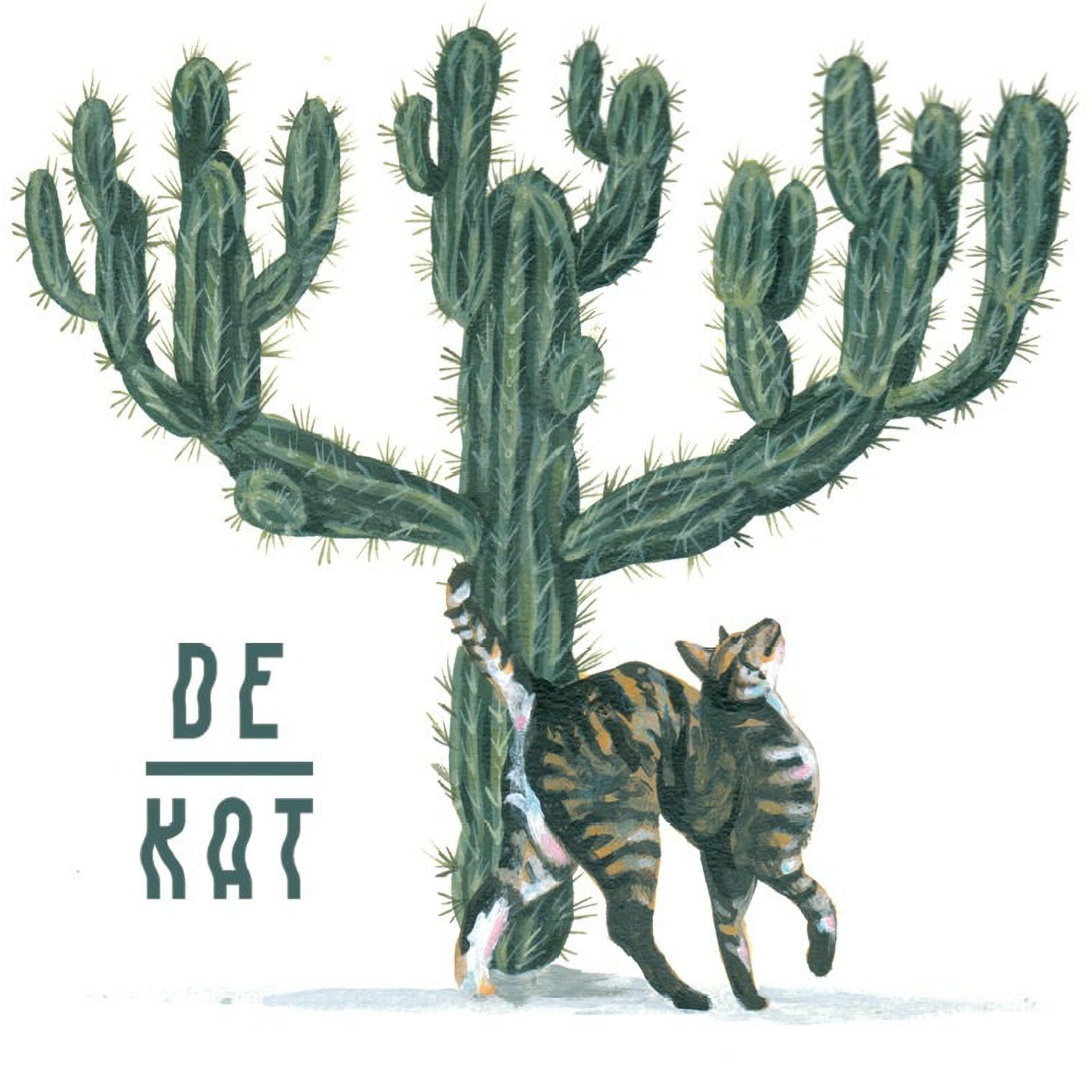 Track Image