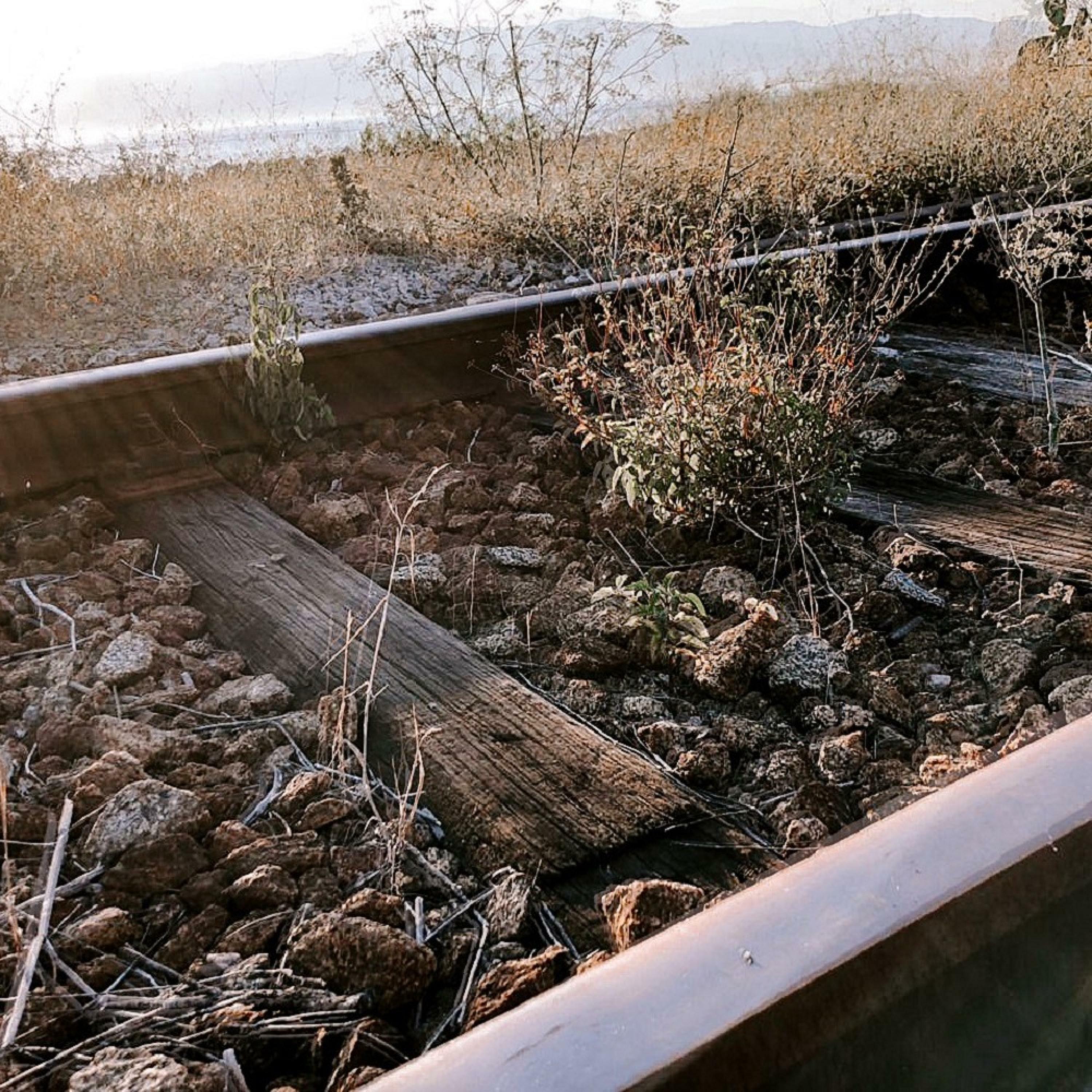 Track Image