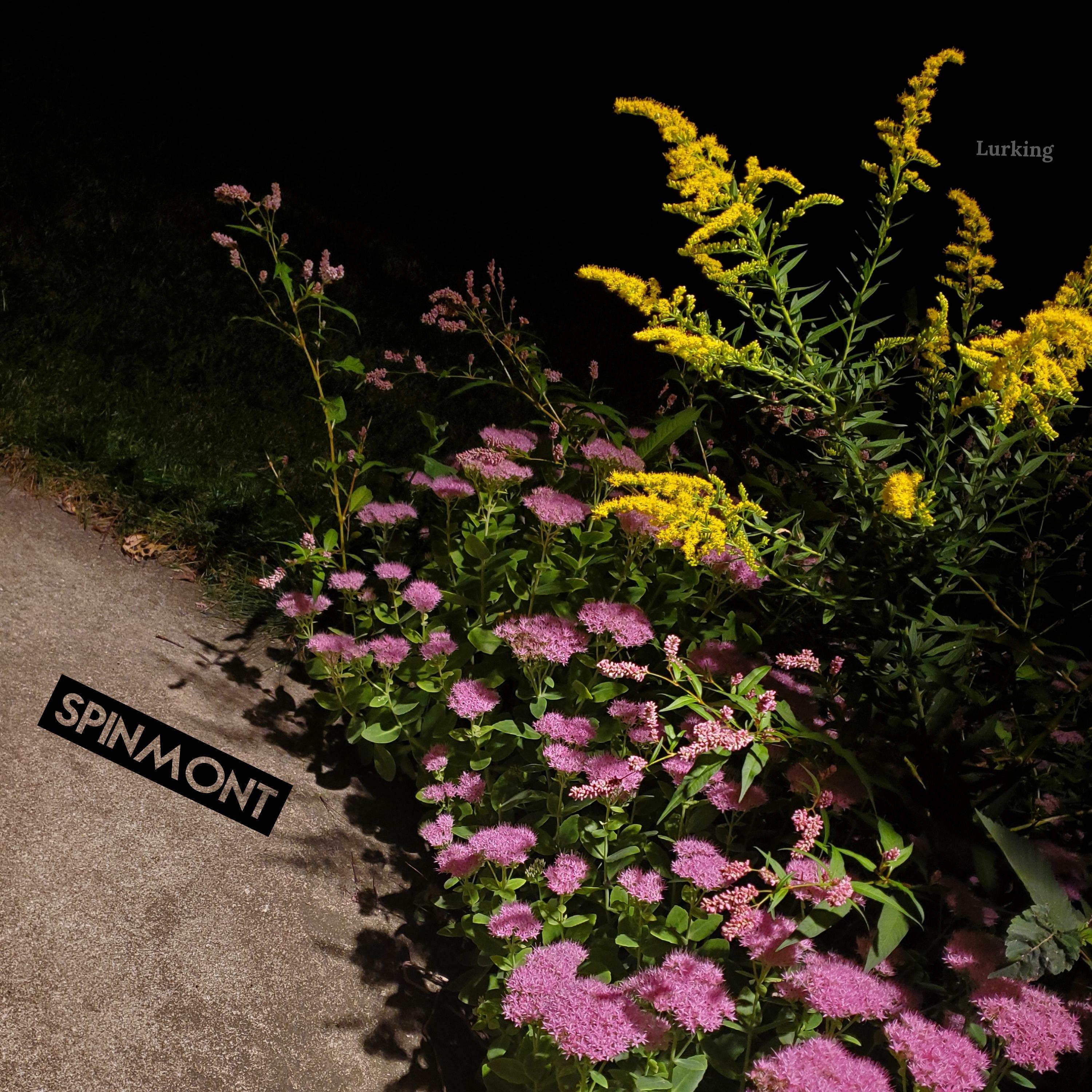 Track Image