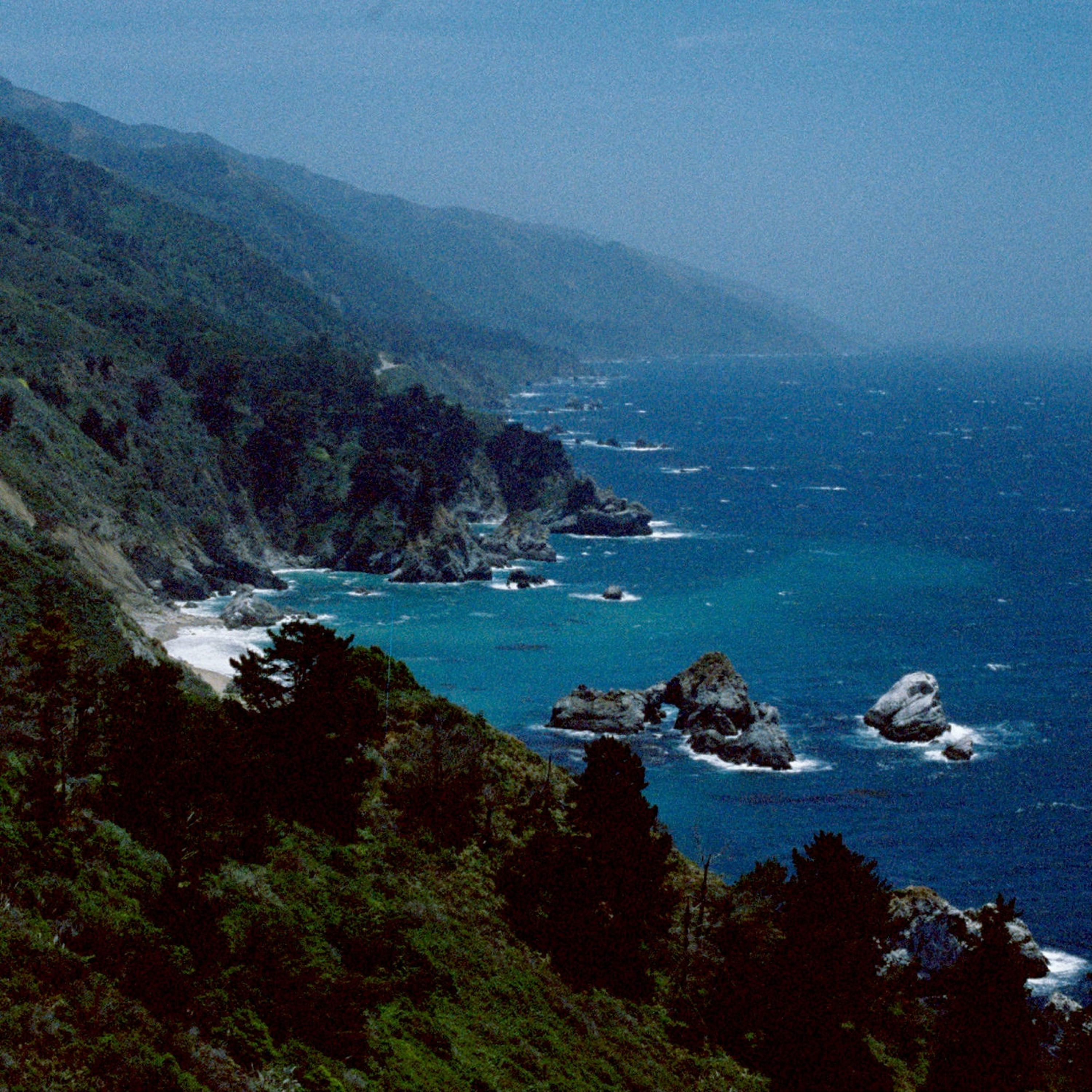 Track Image