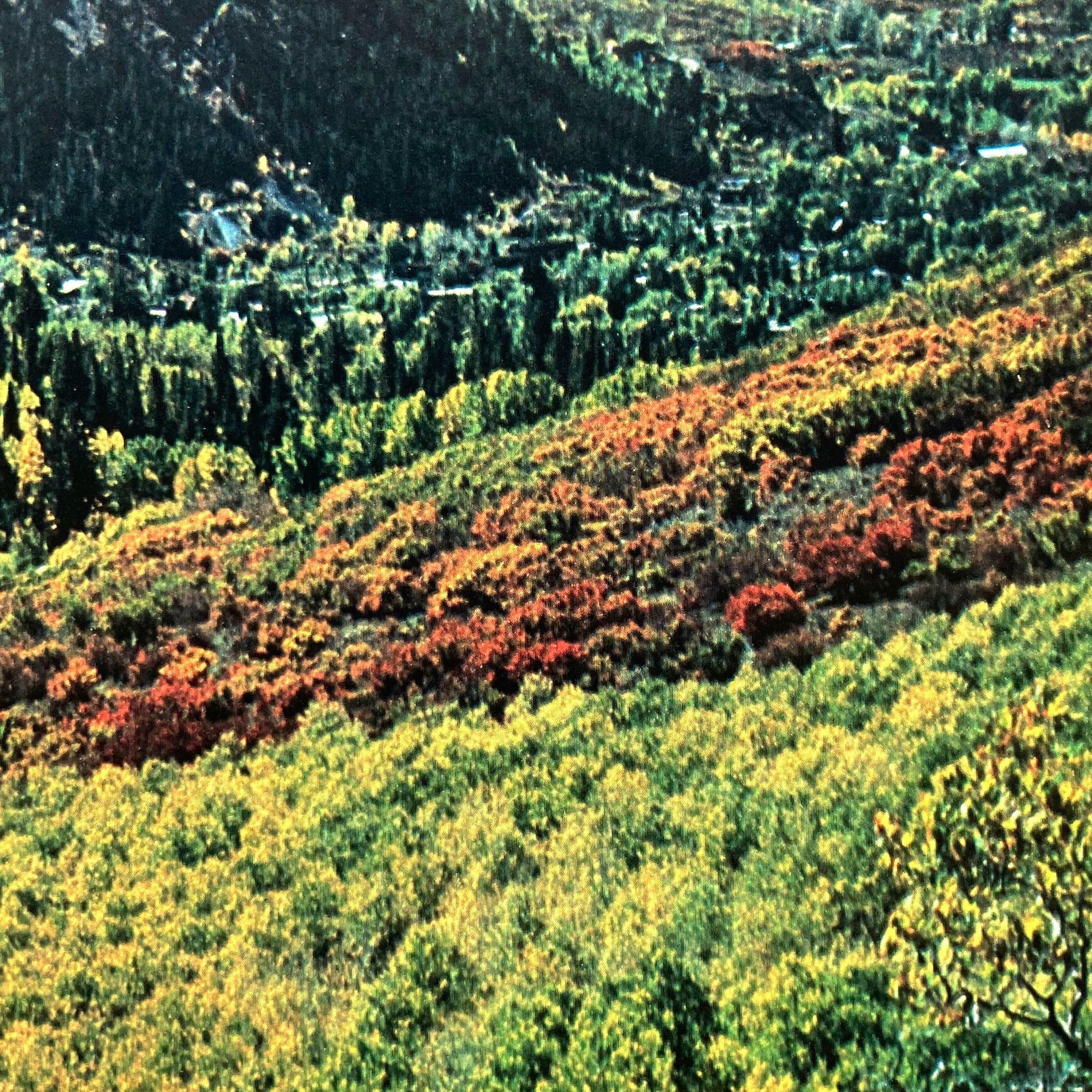 Track Image