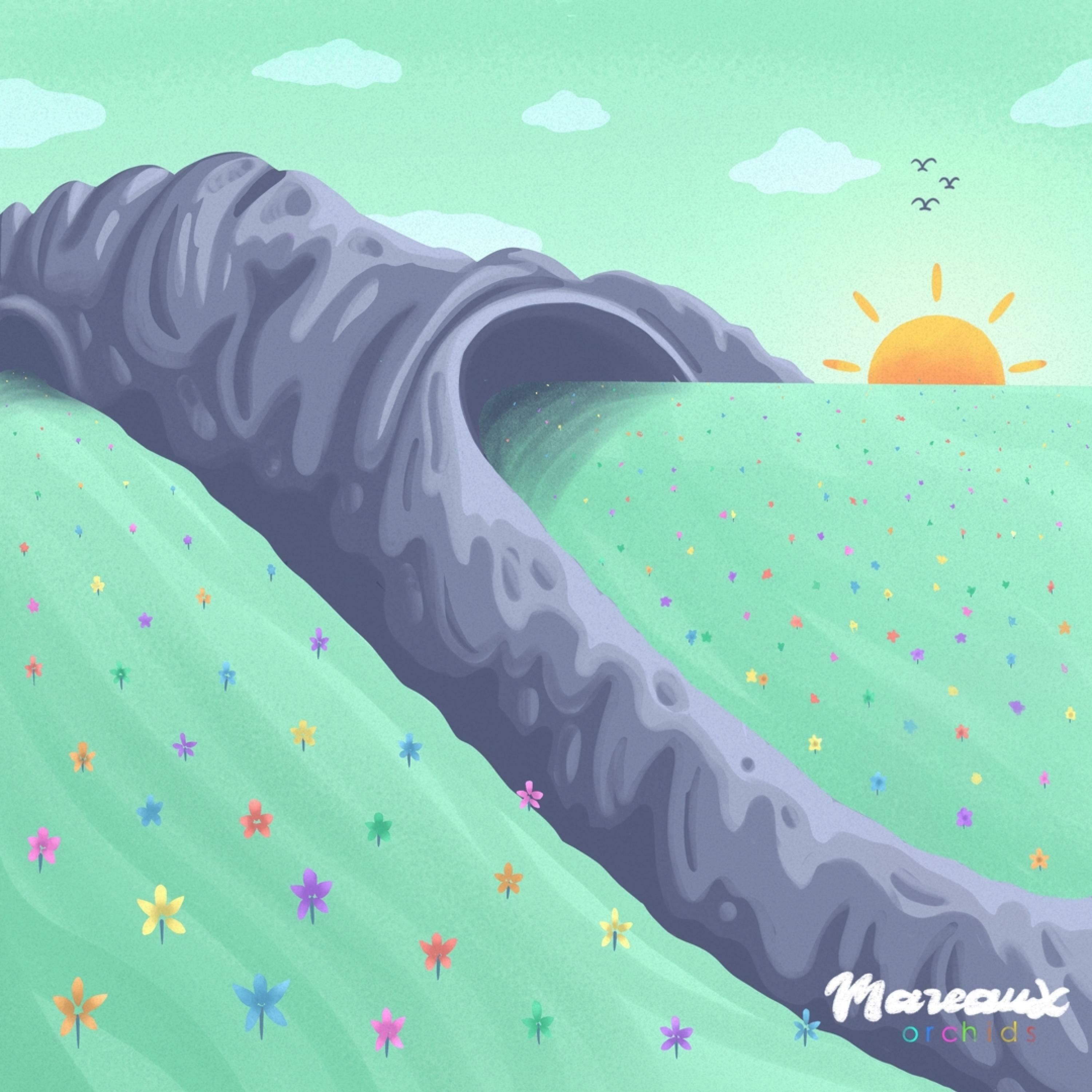 Track Image