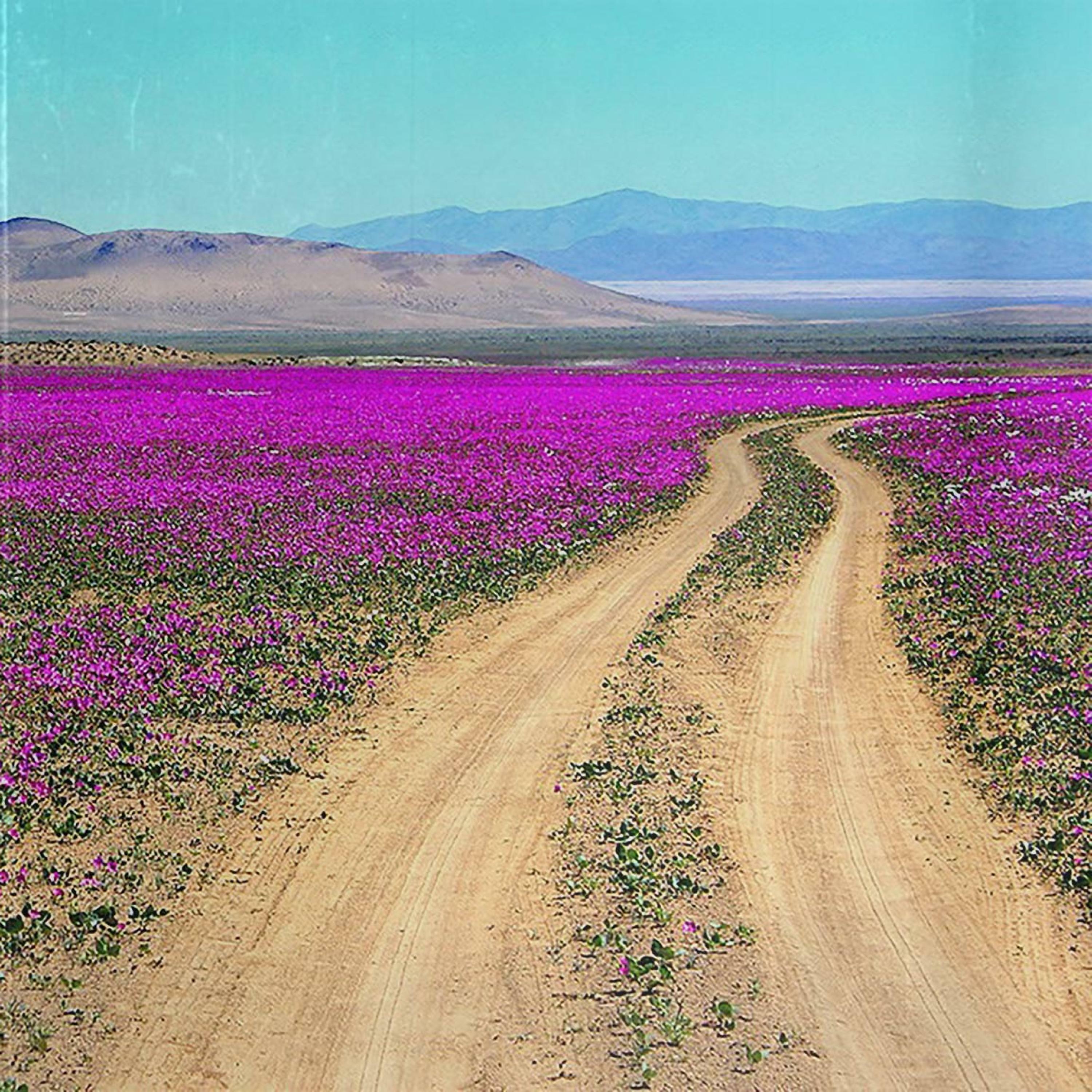 Track Image