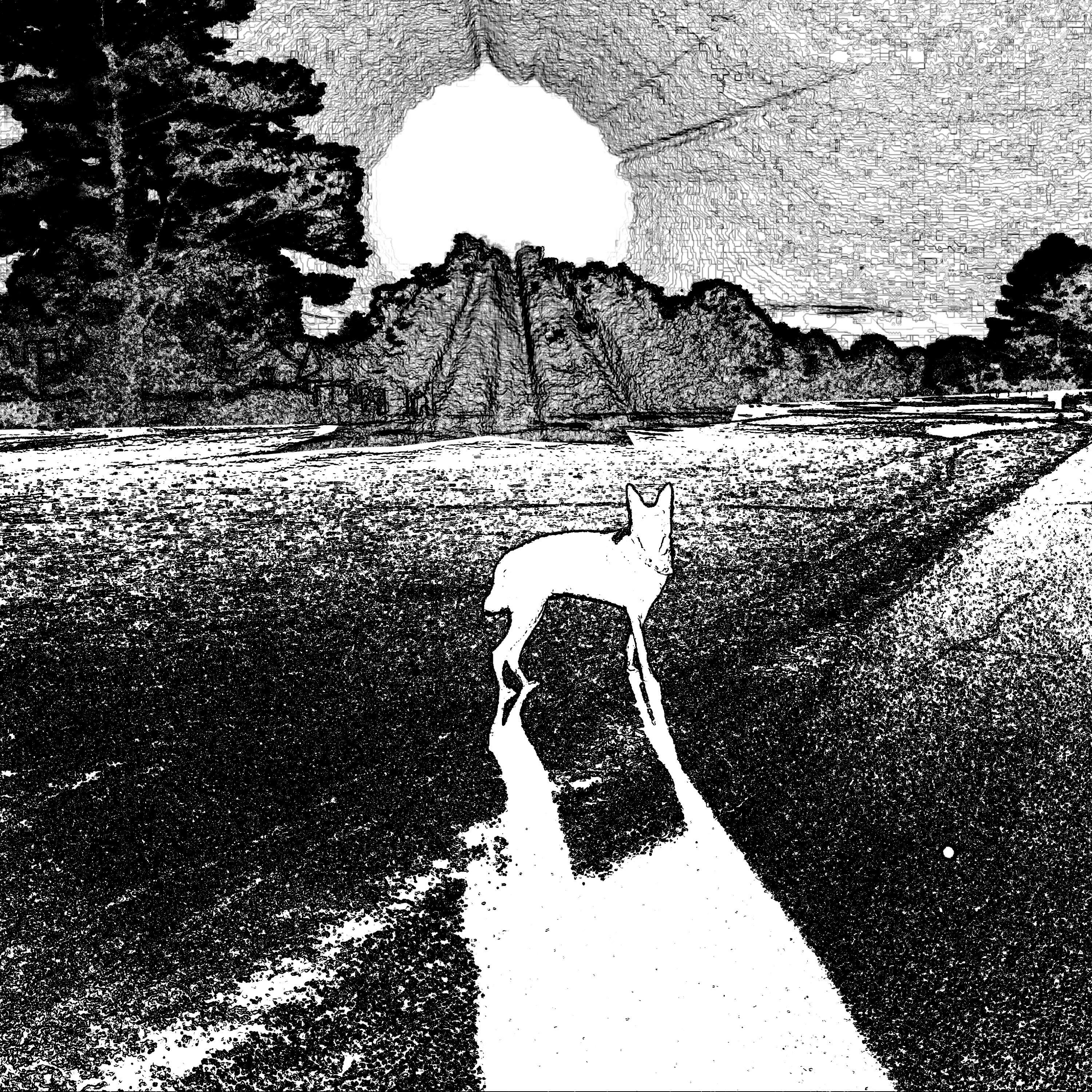 Track Image