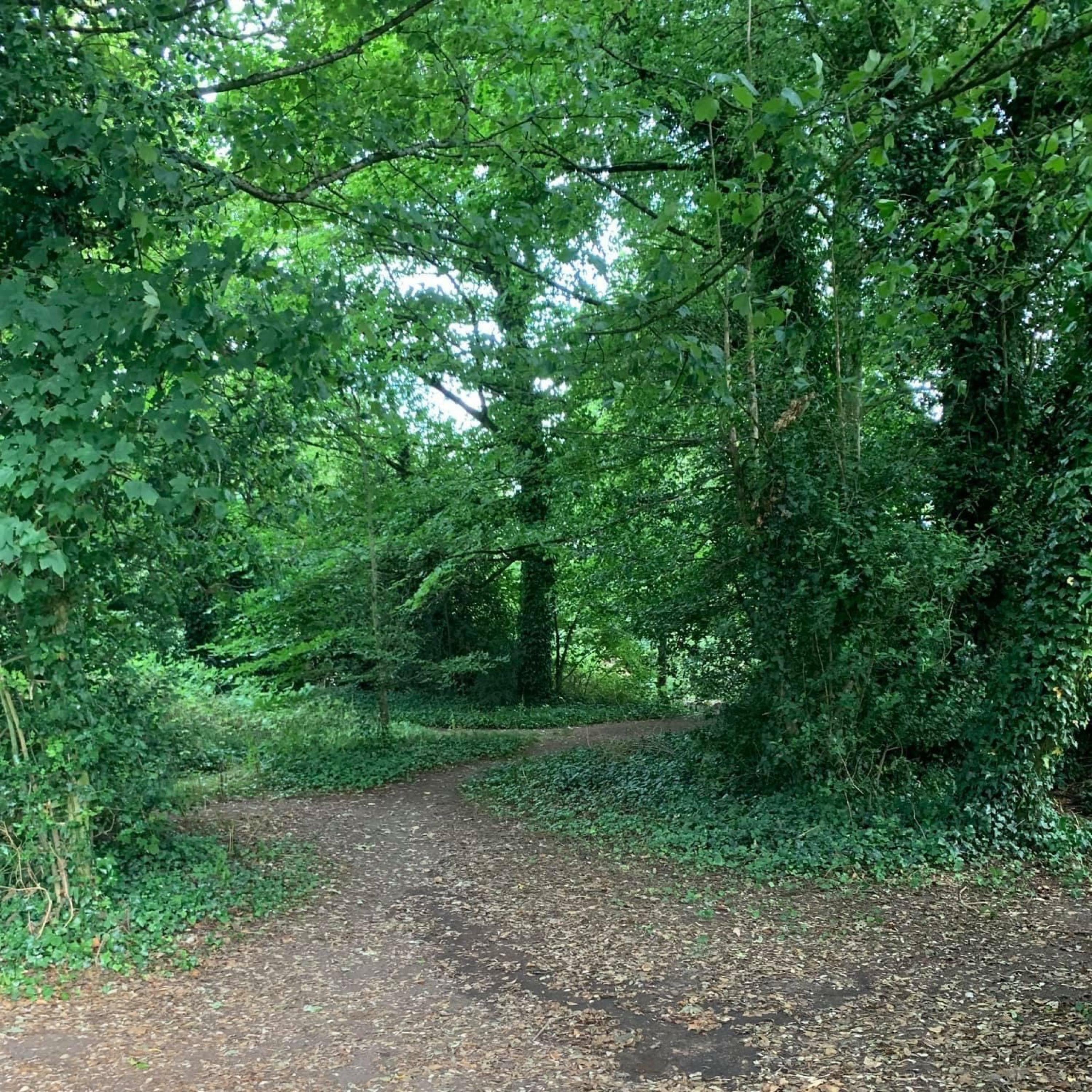 Track Image