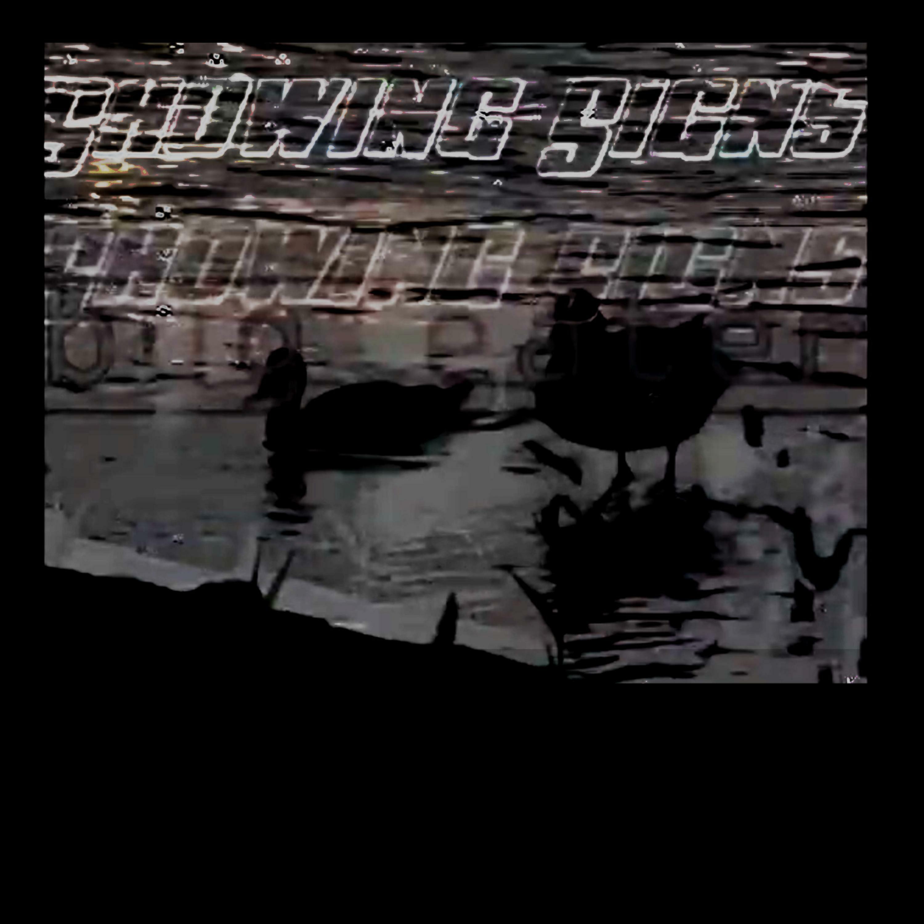 Track Image