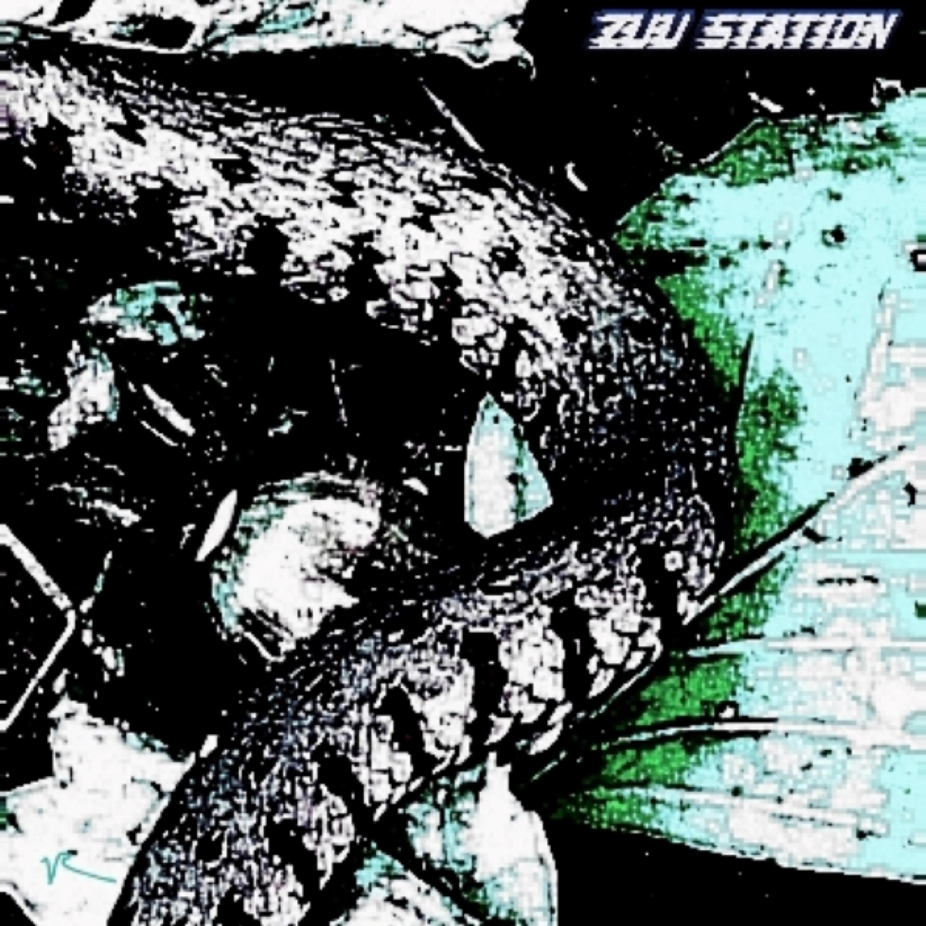 Track Image