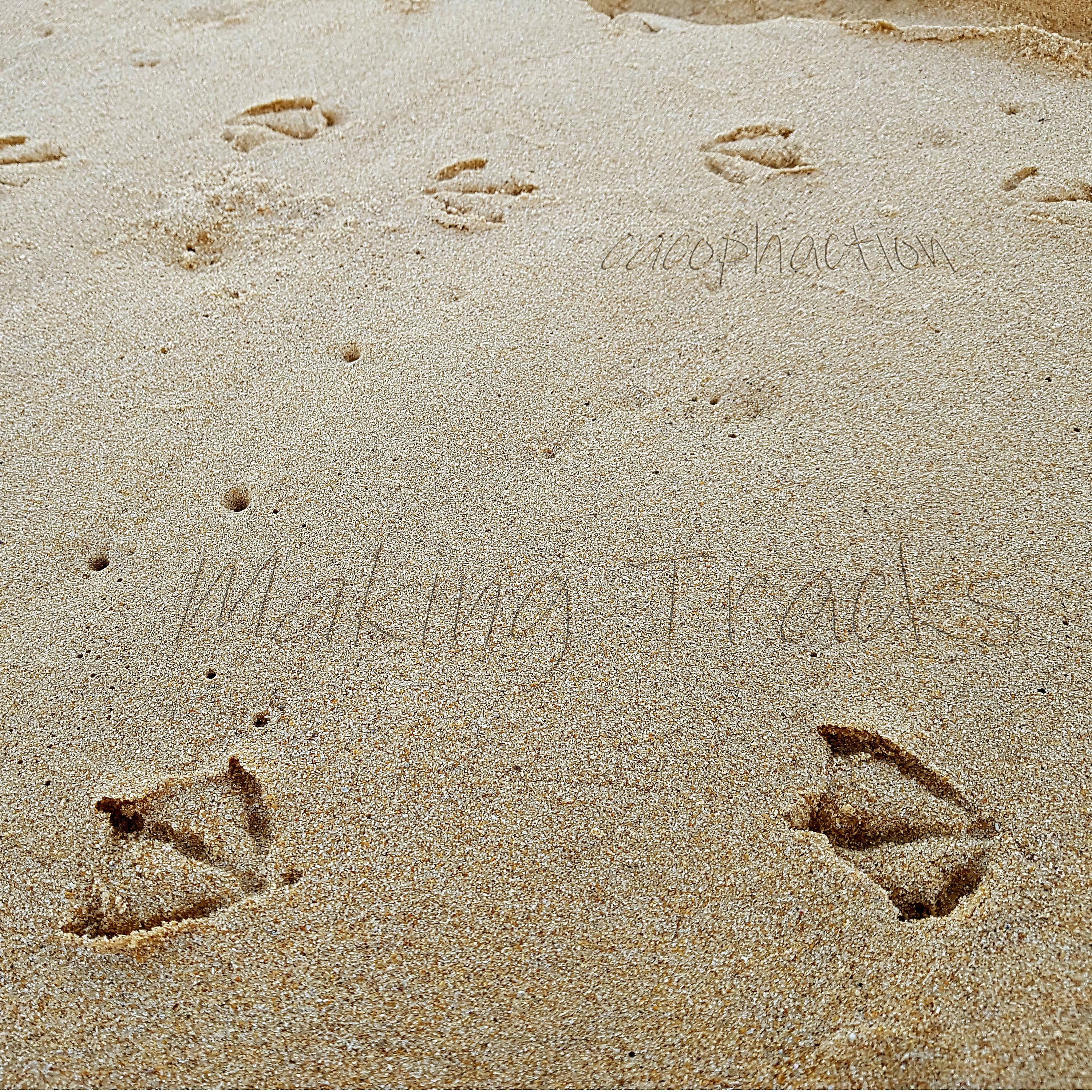 Track Image