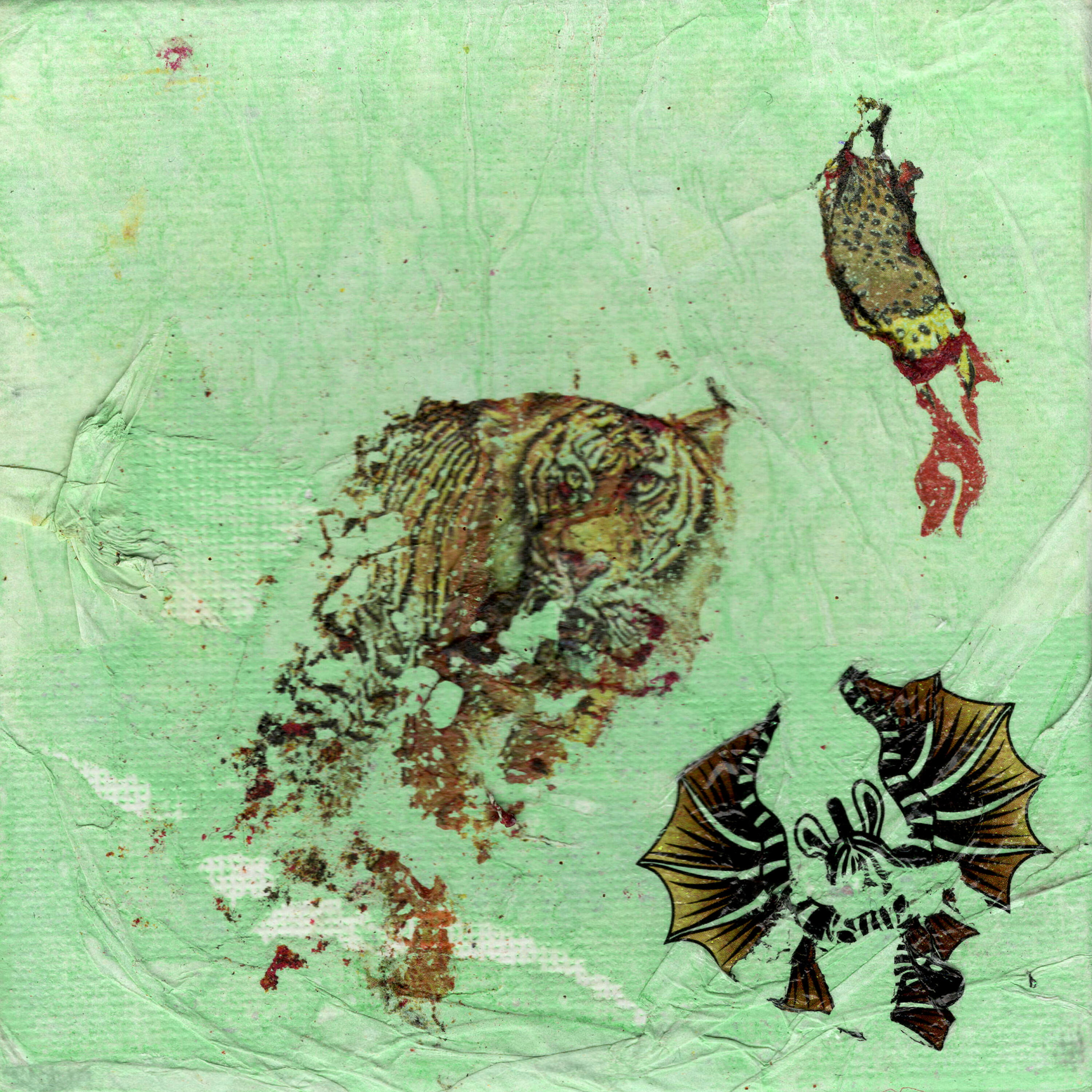 Track Image