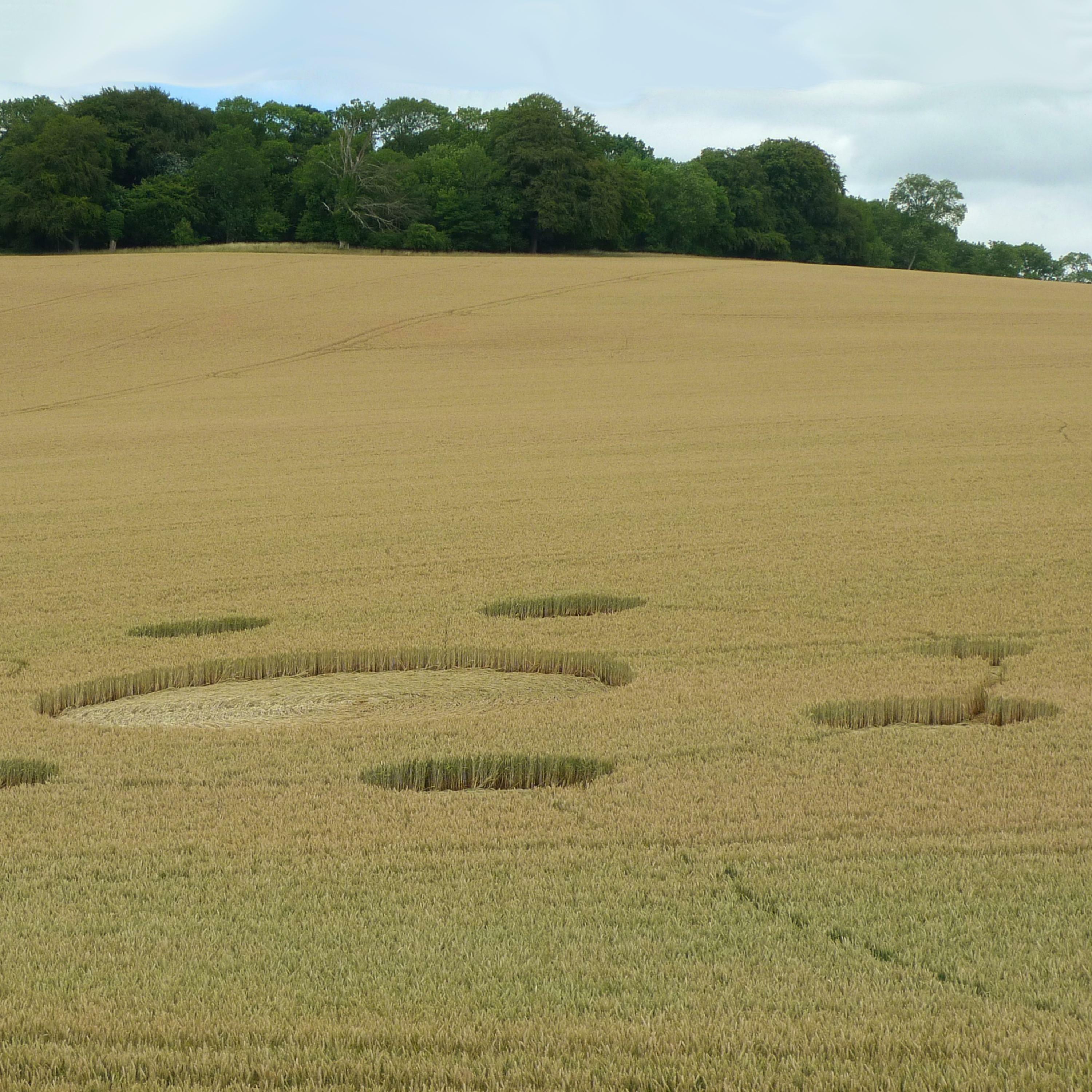 Track Image