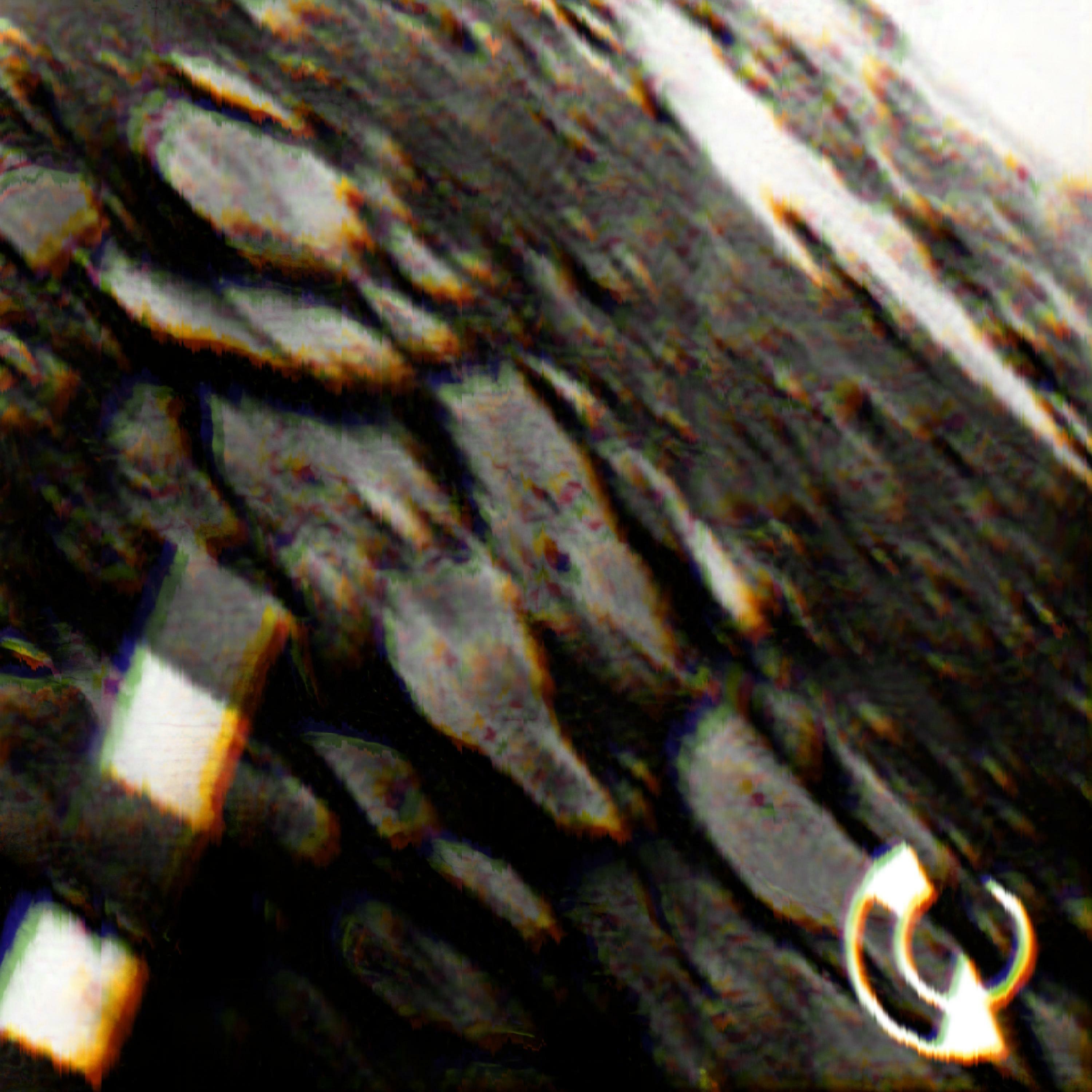 Track Image