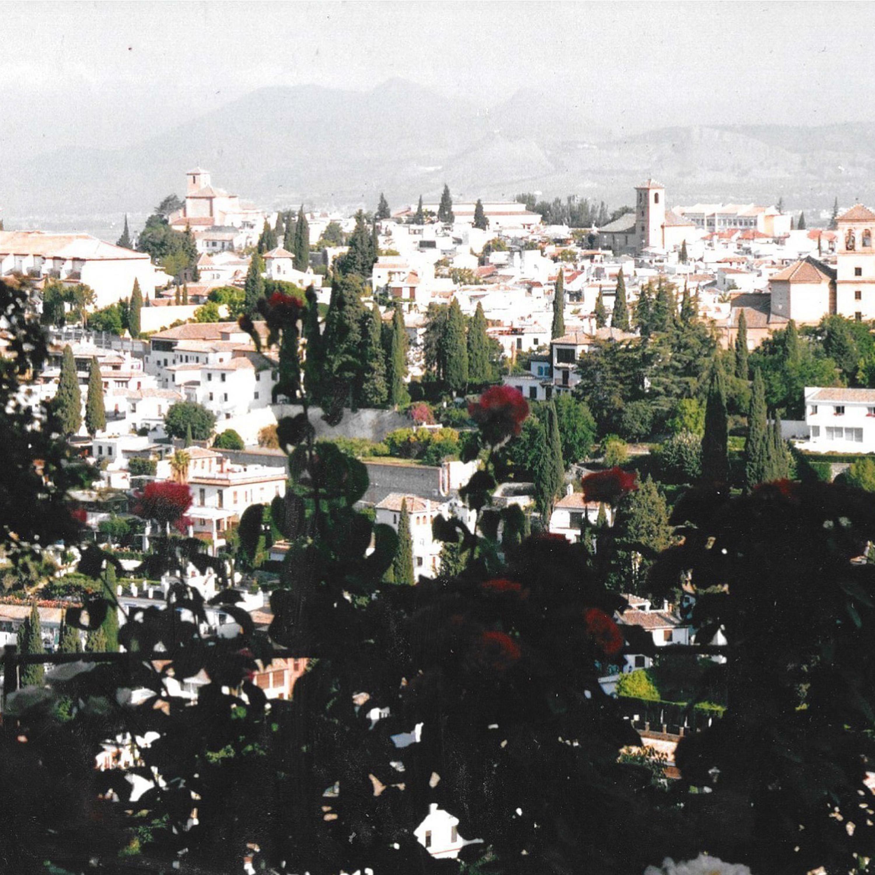 Track Image