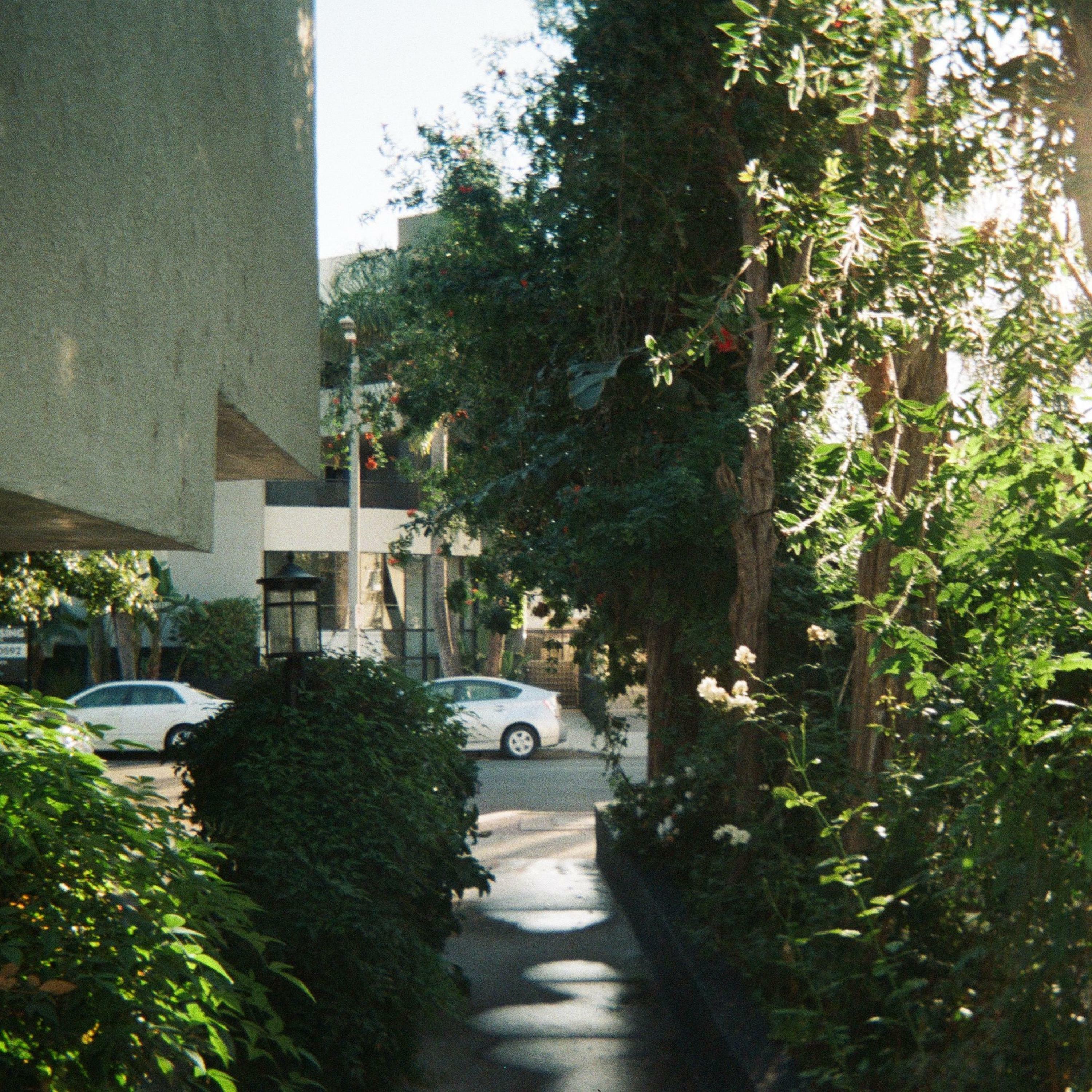 Track Image