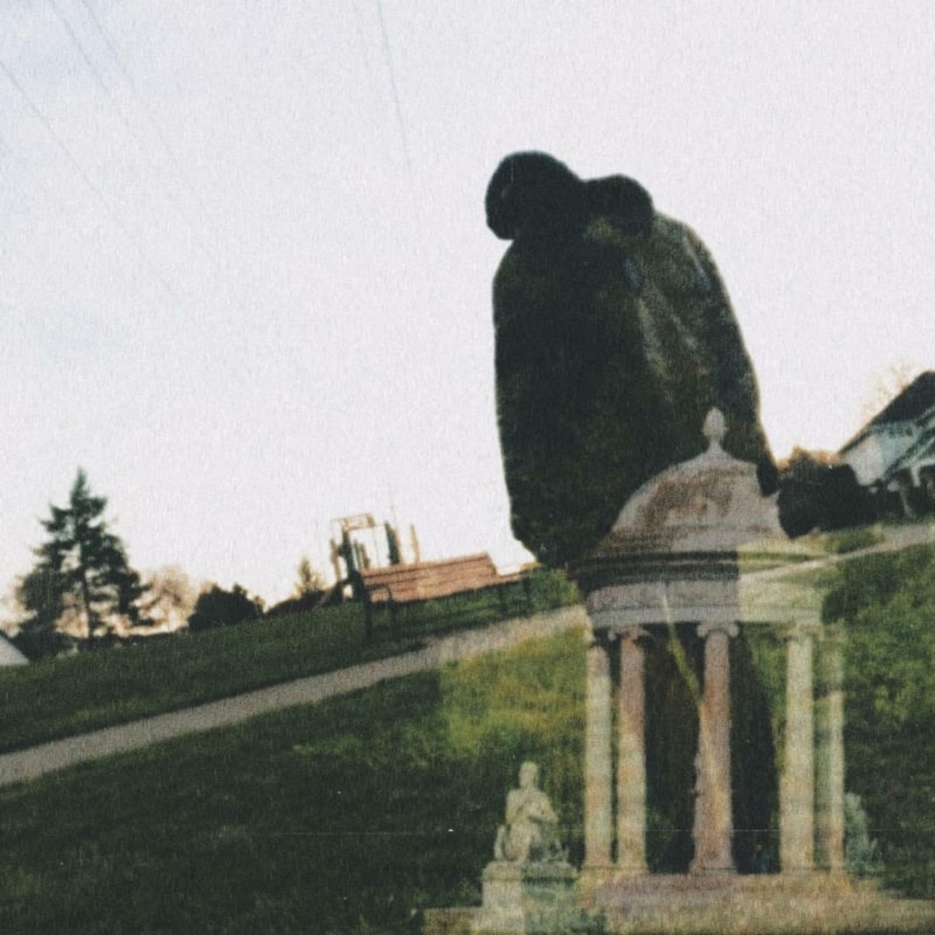 Track Image