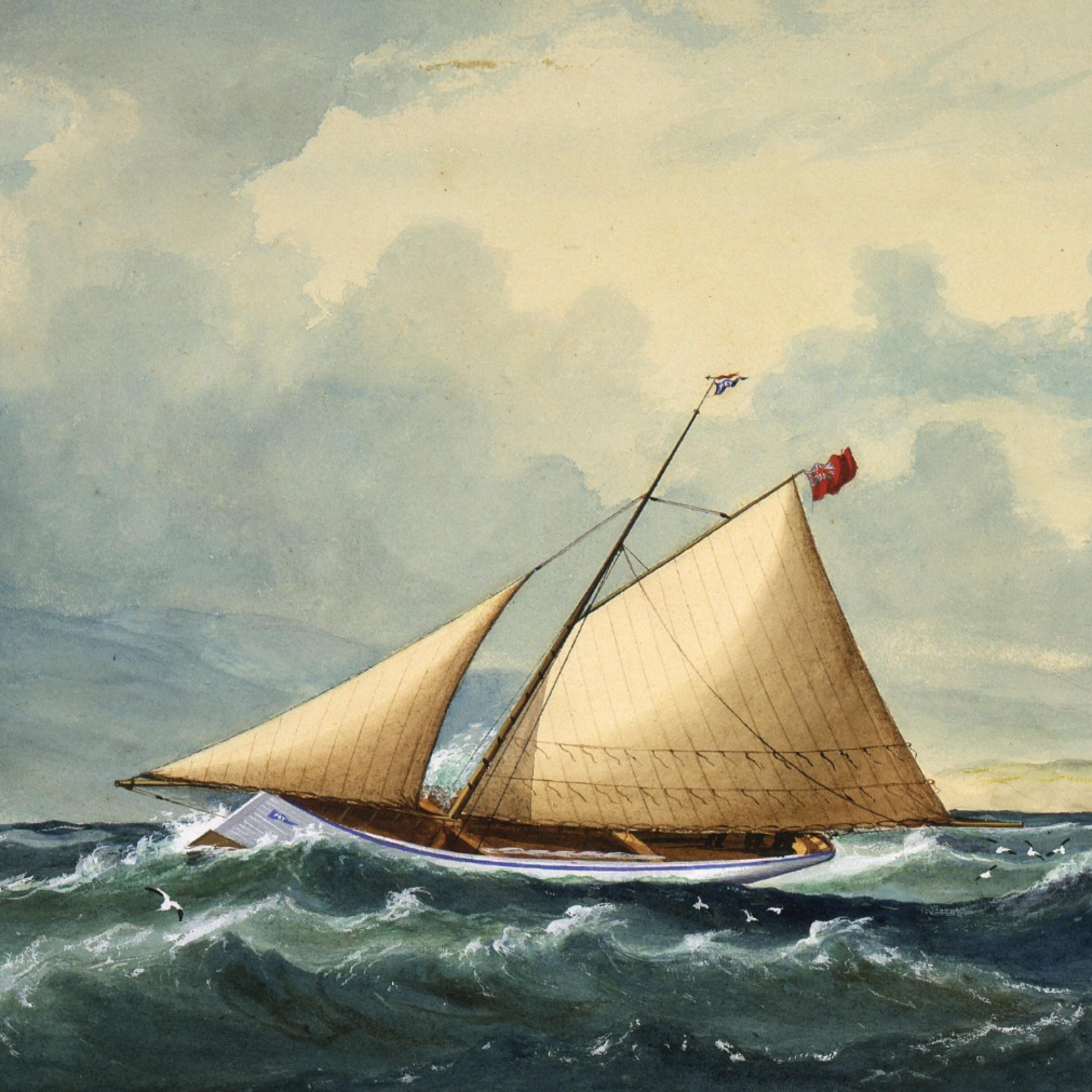 Track Image