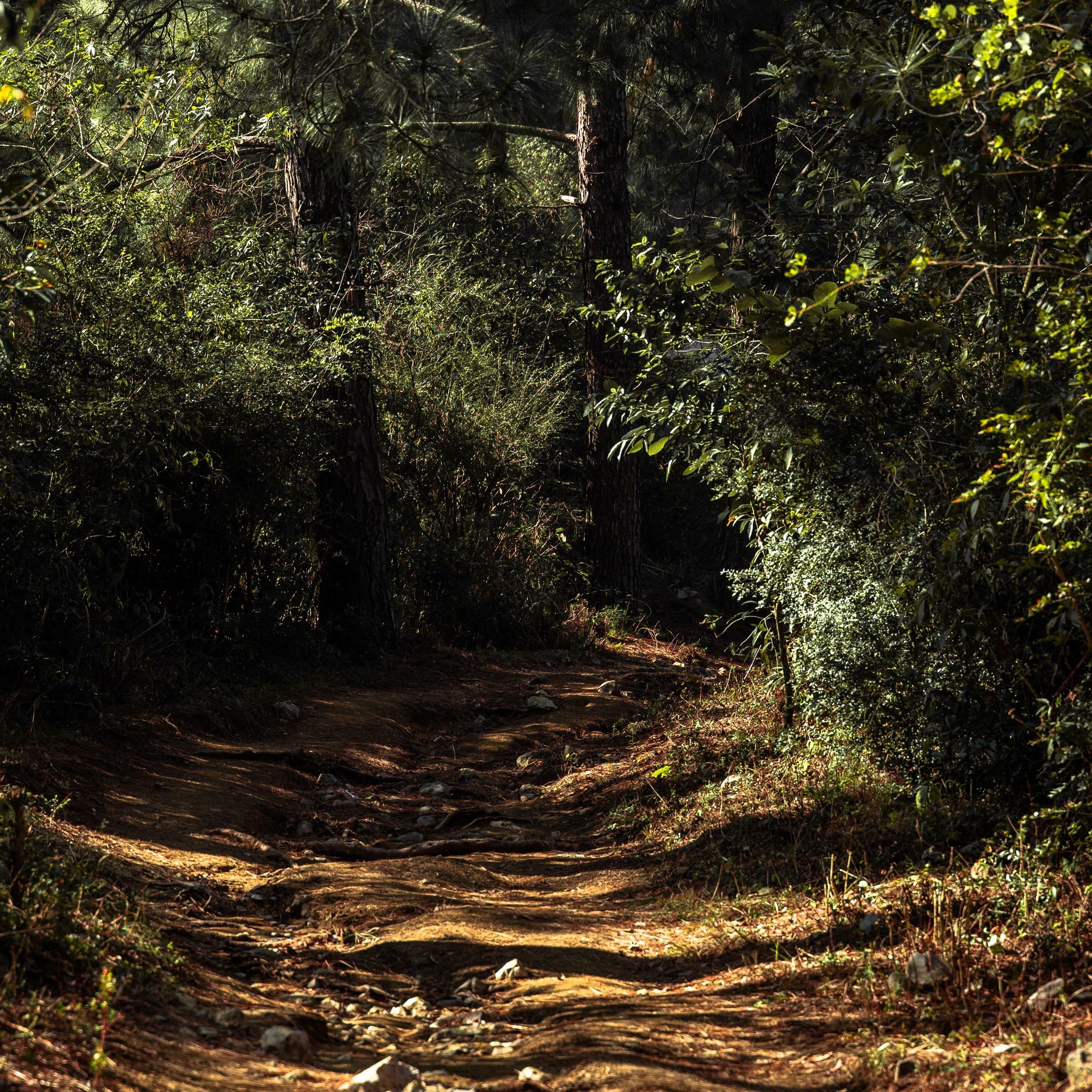 Track Image