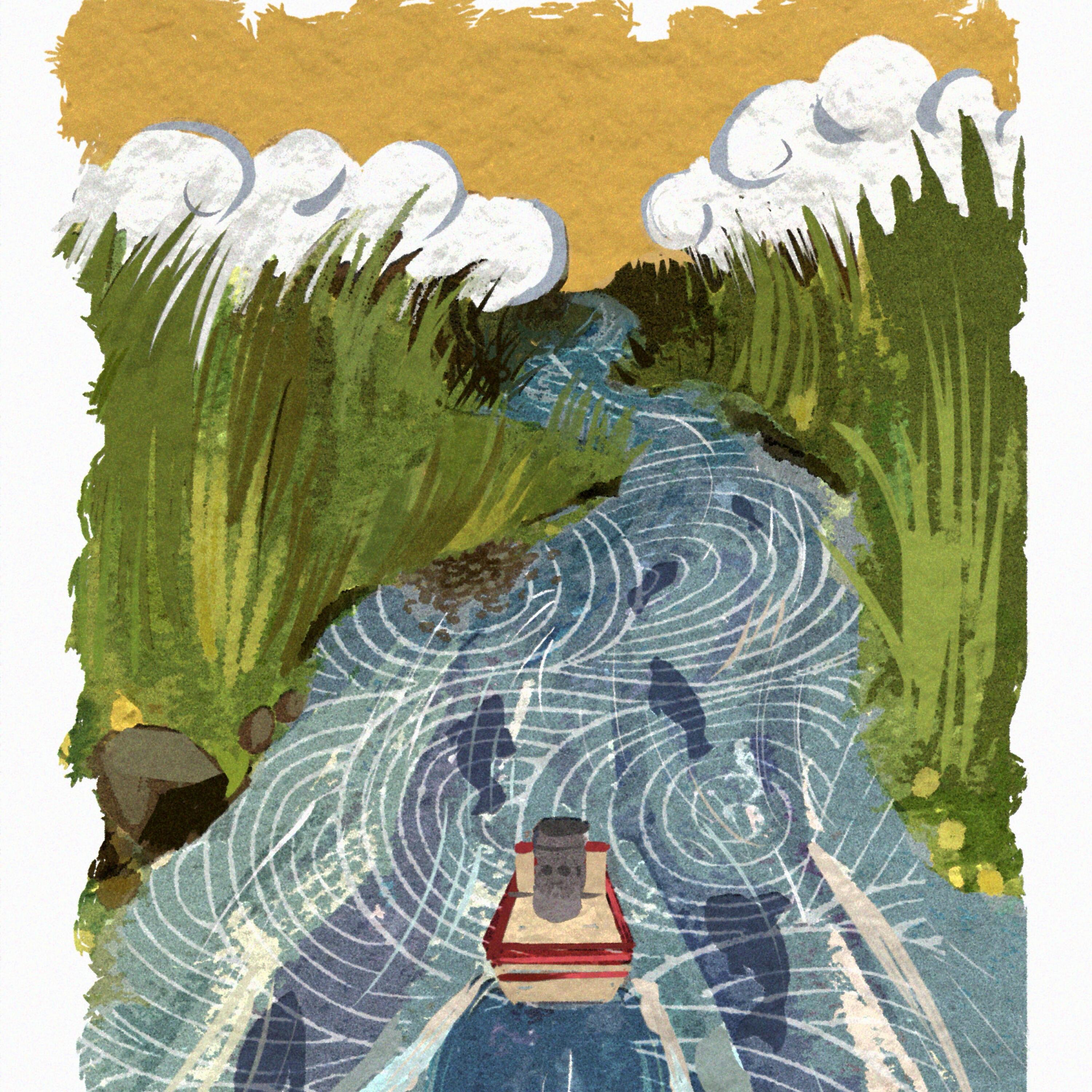 Track Image