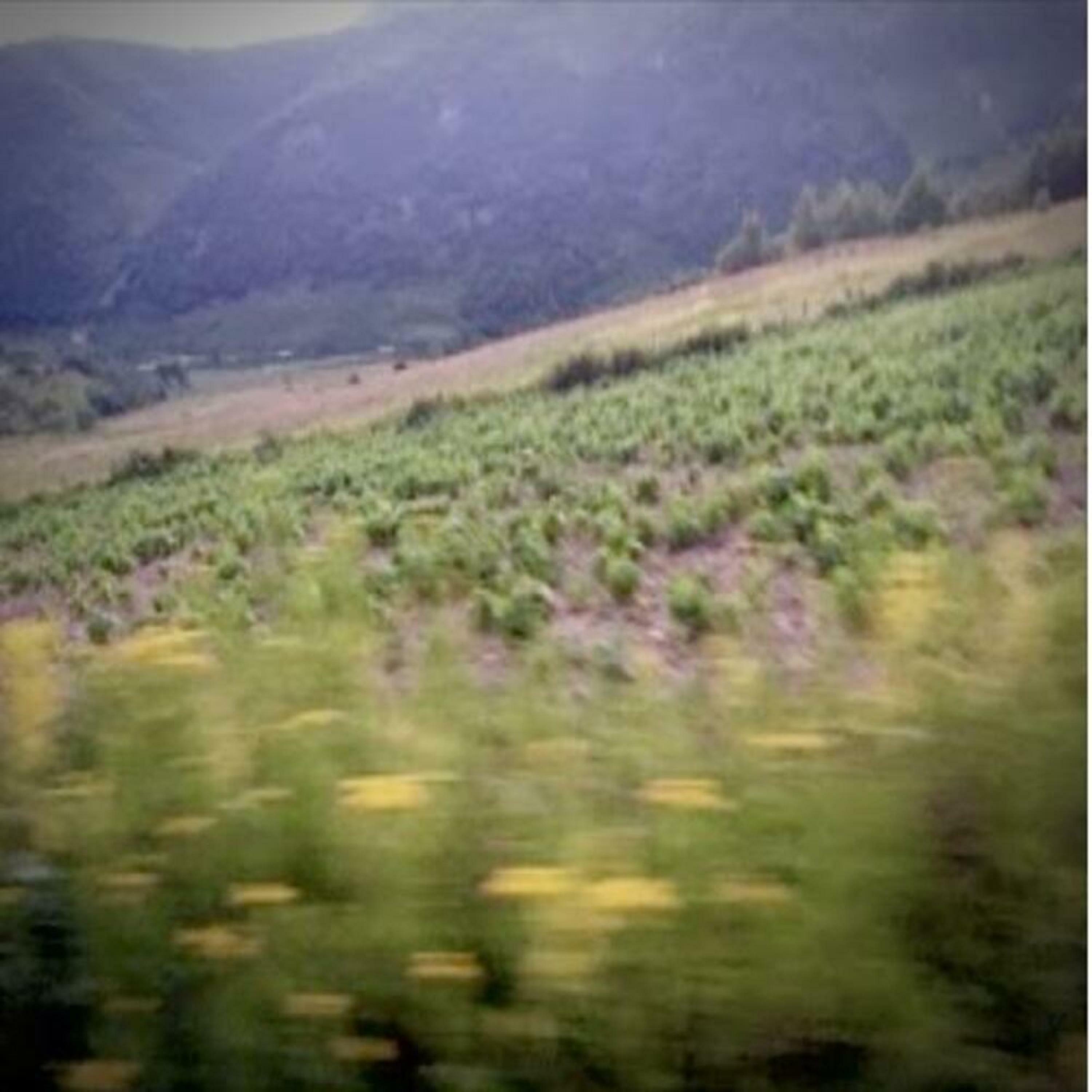 Track Image