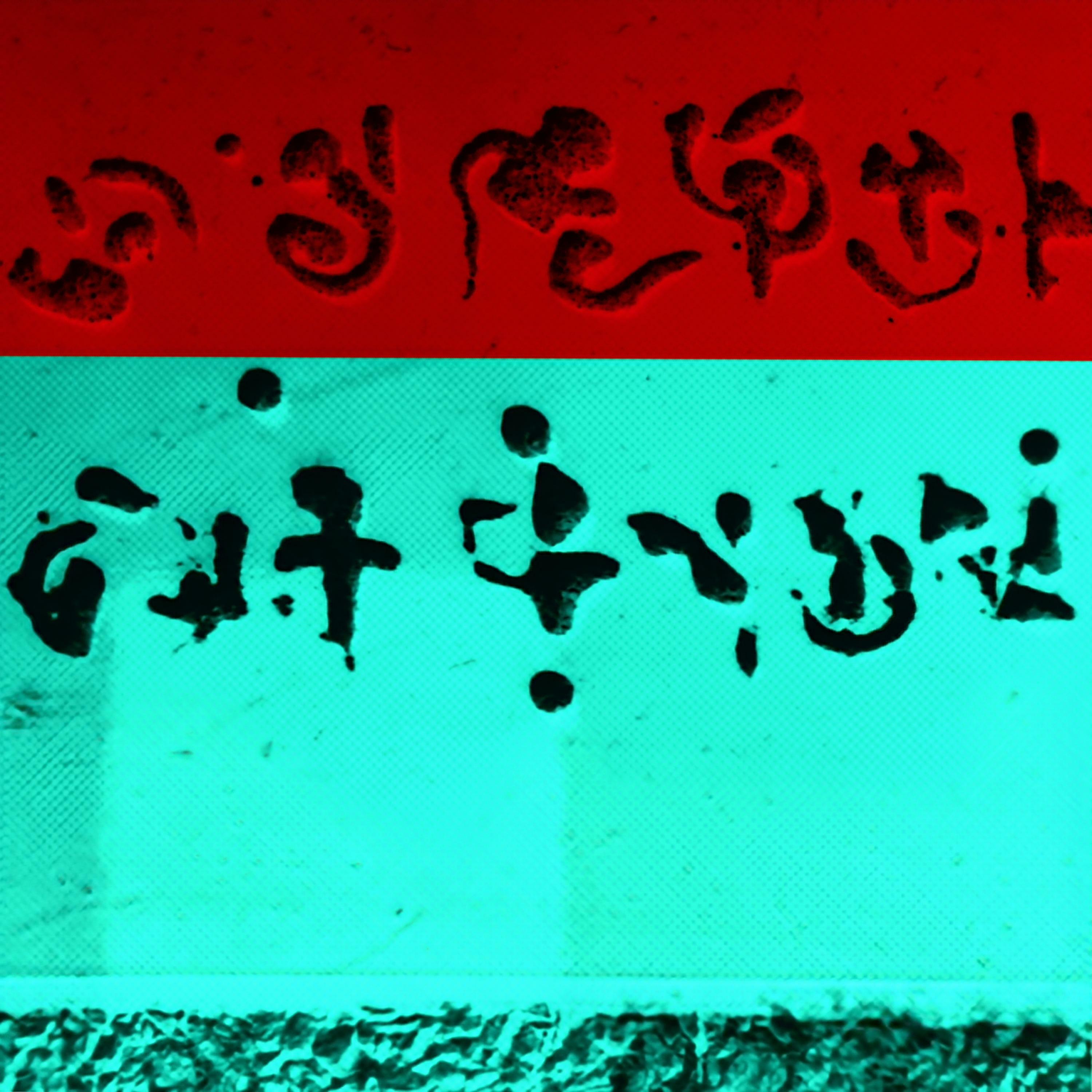 Track Image