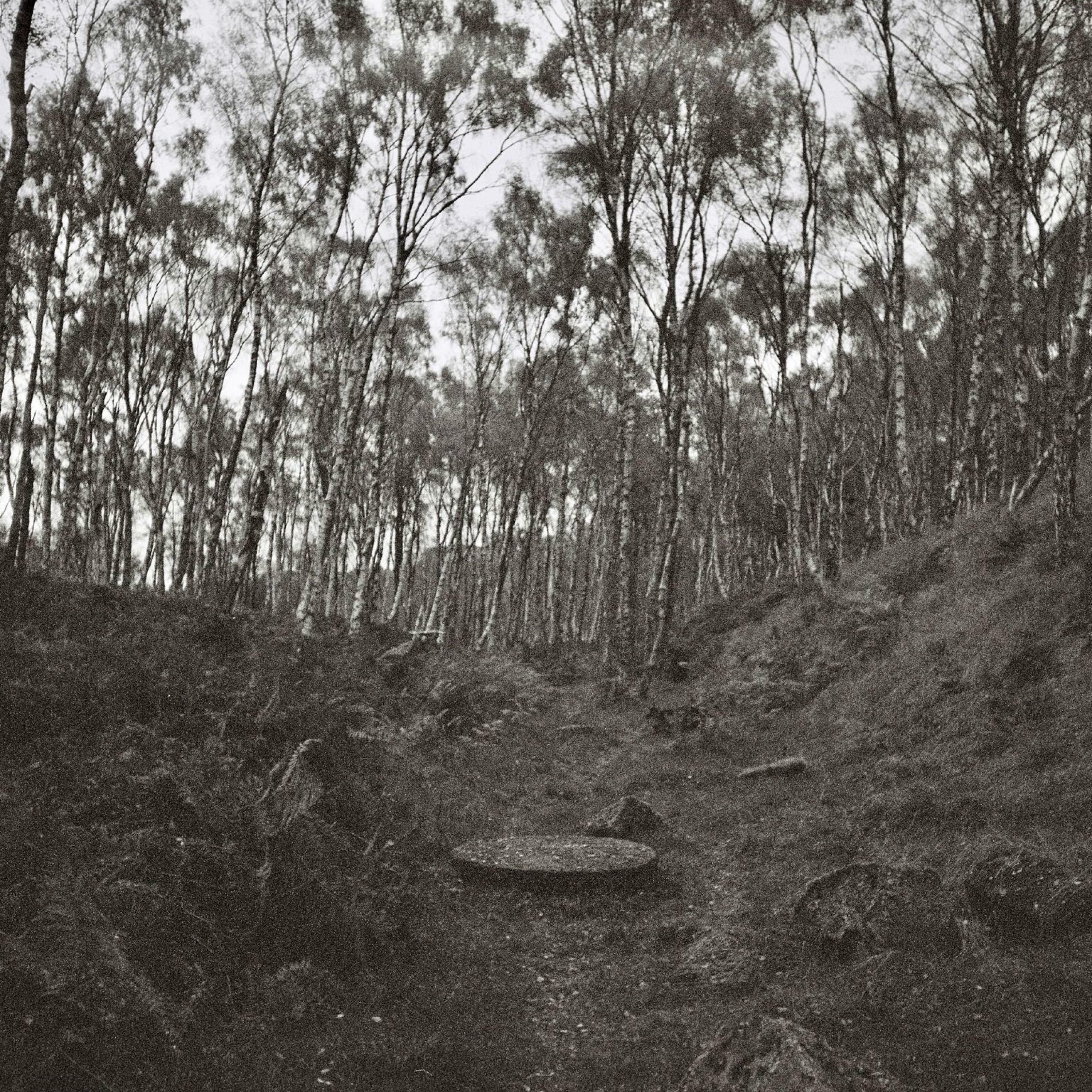 Track Image
