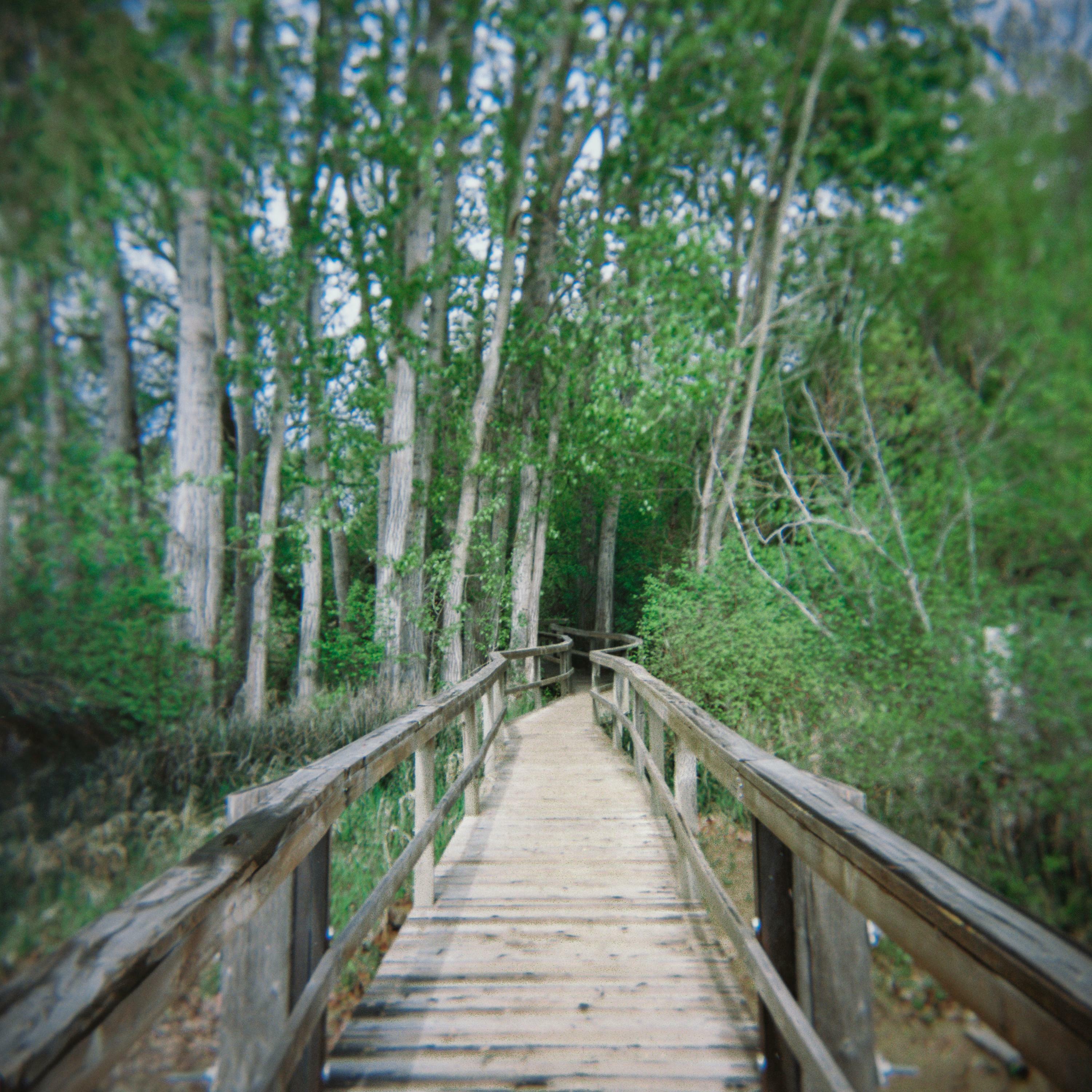 Track Image
