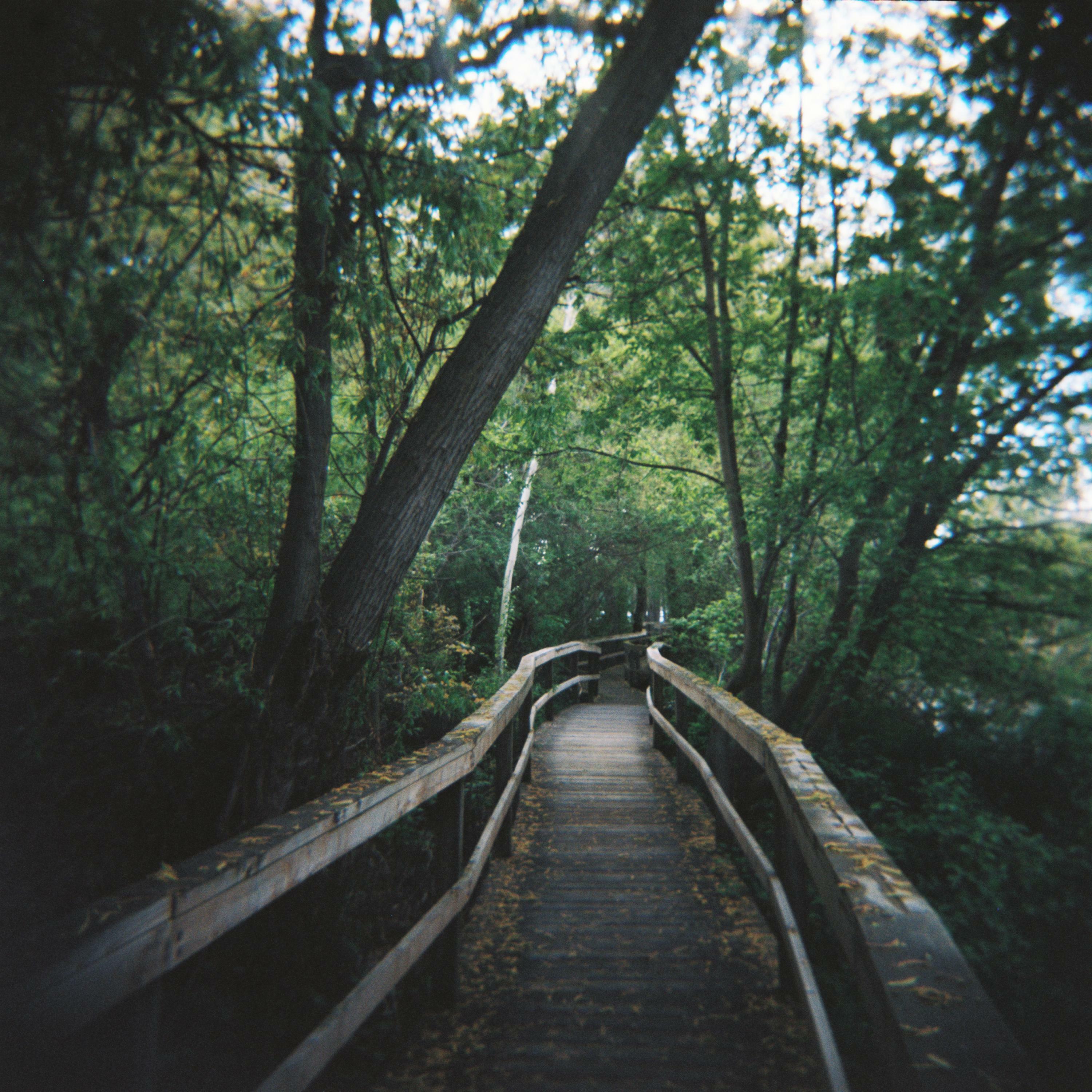 Track Image