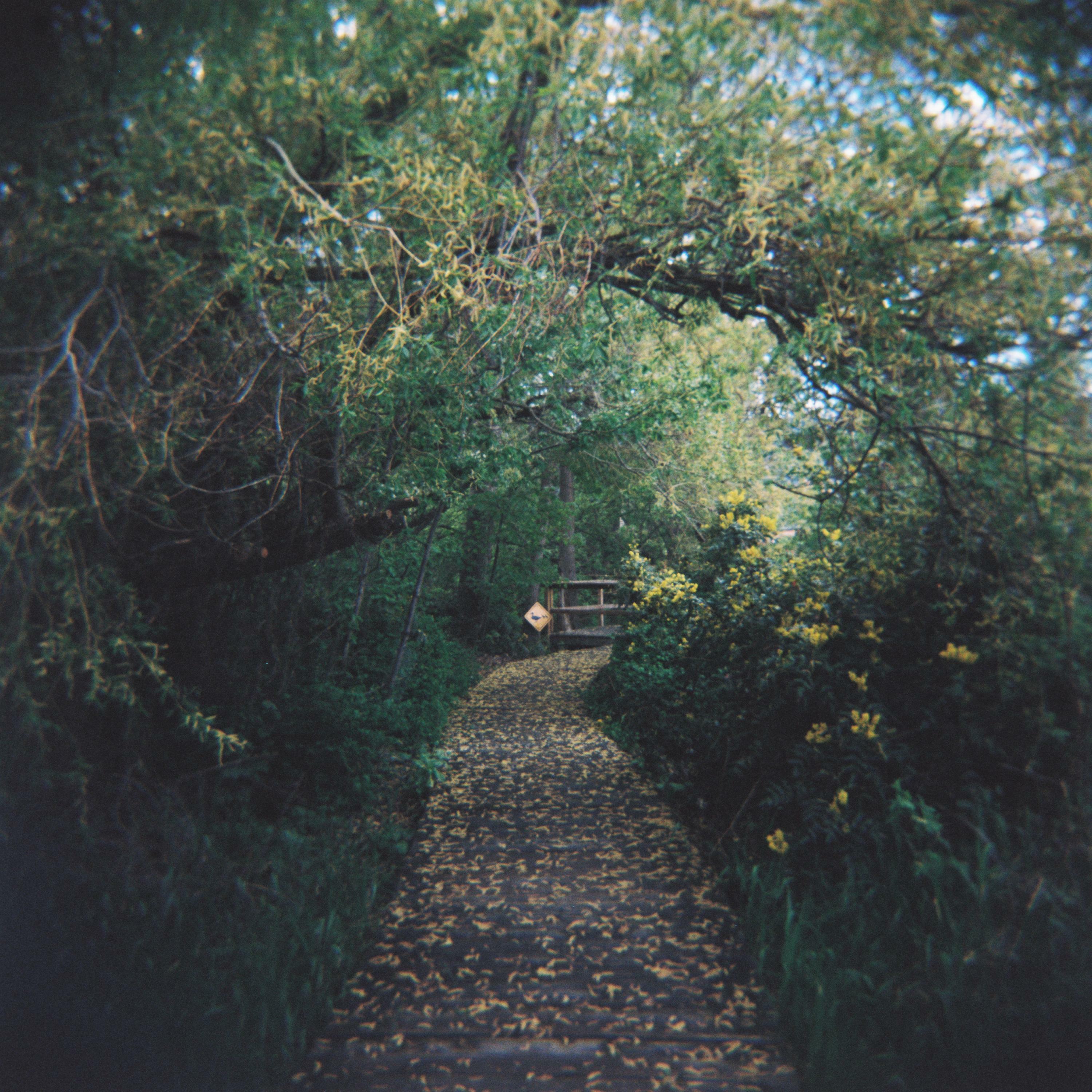 Track Image