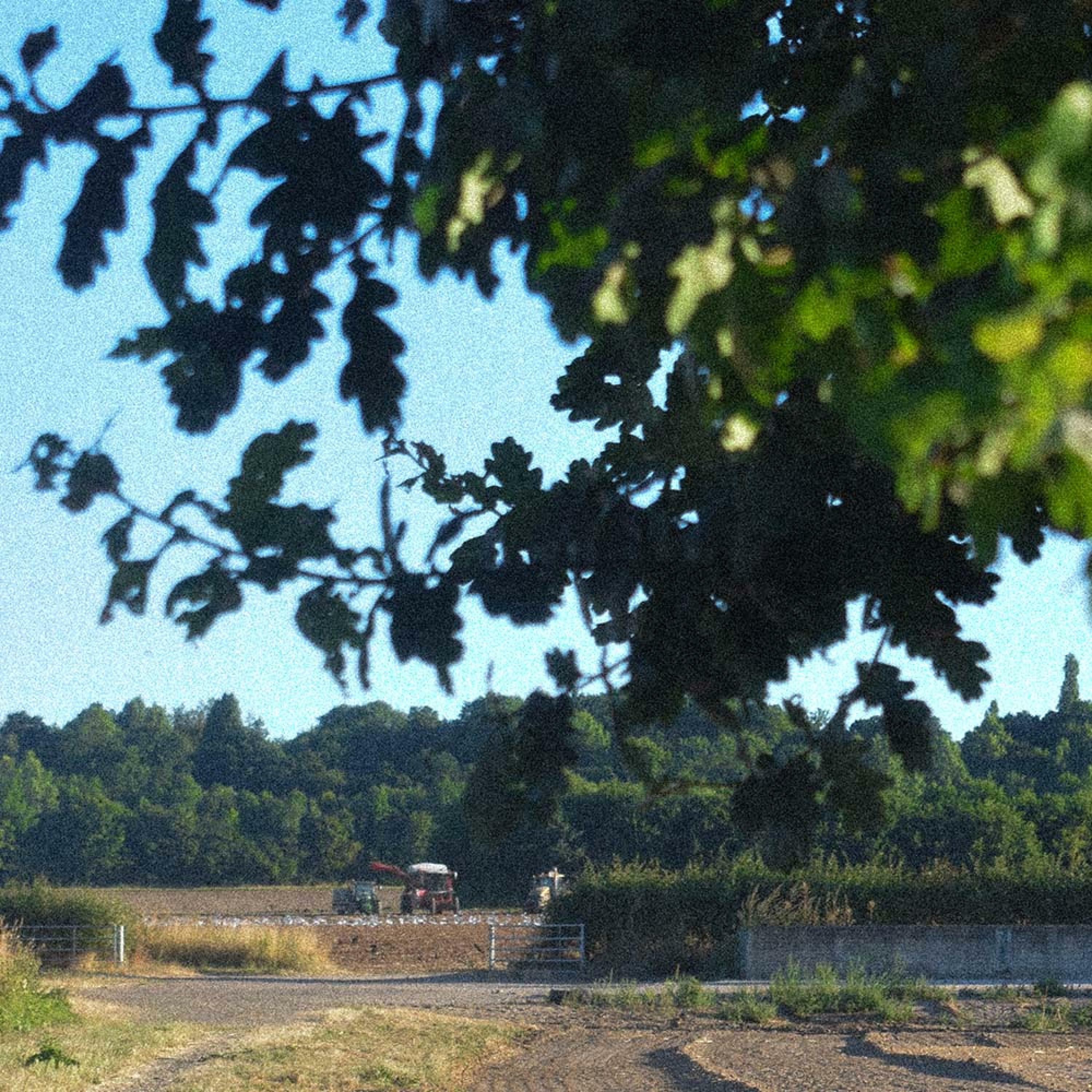 Track Image