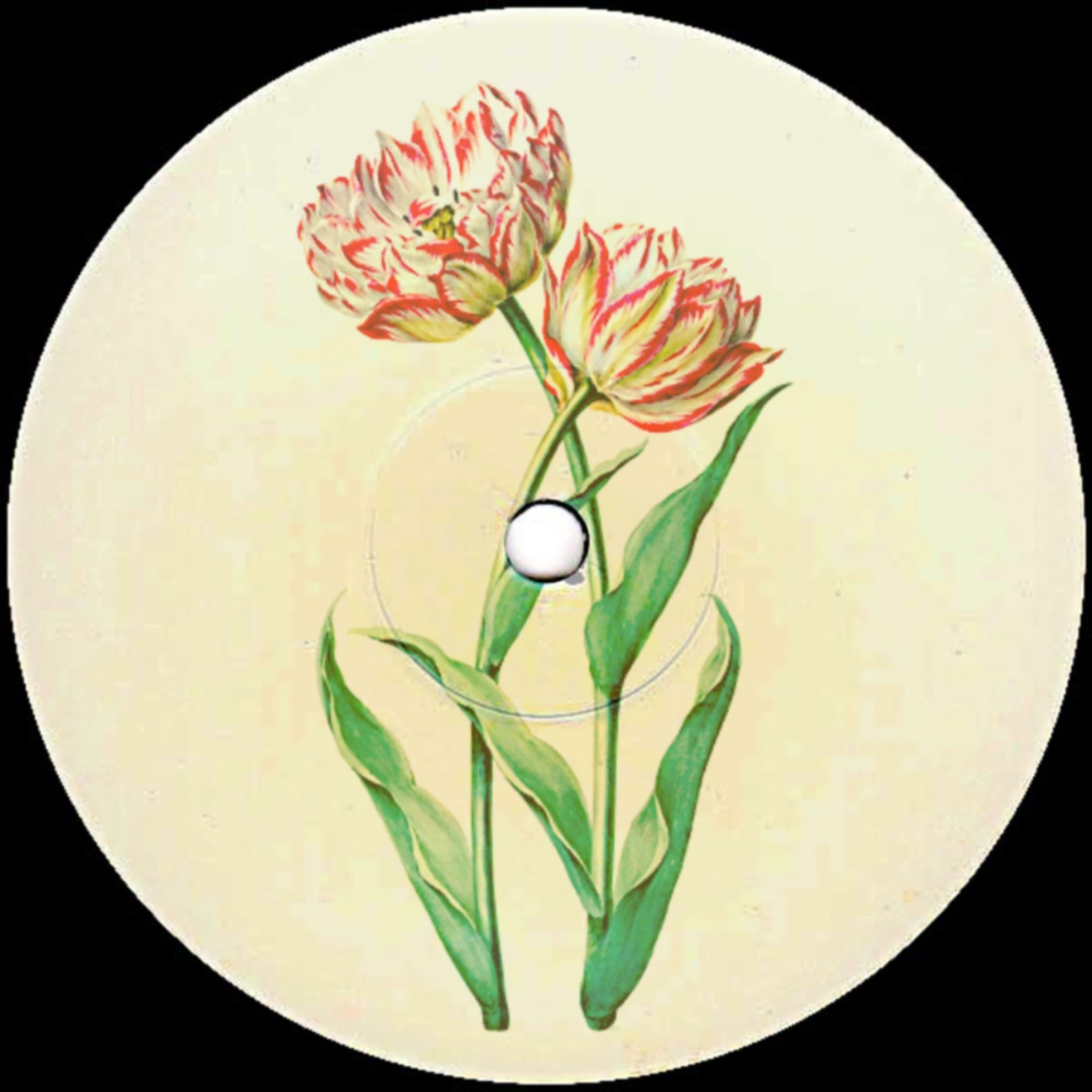 Track Image