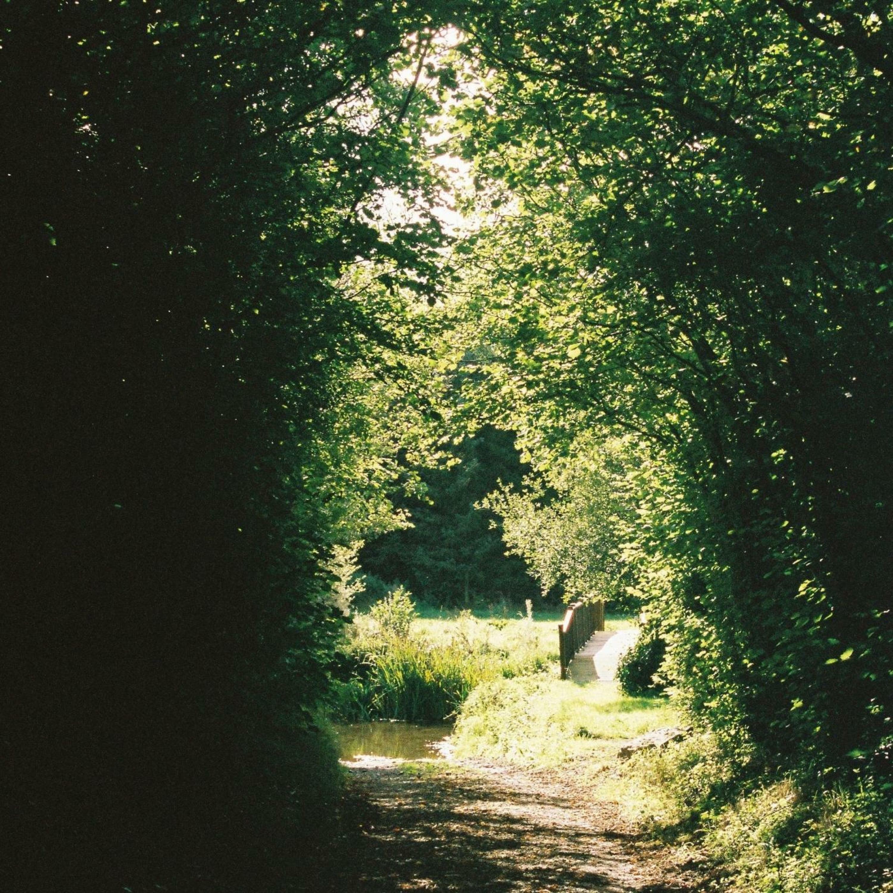 Track Image