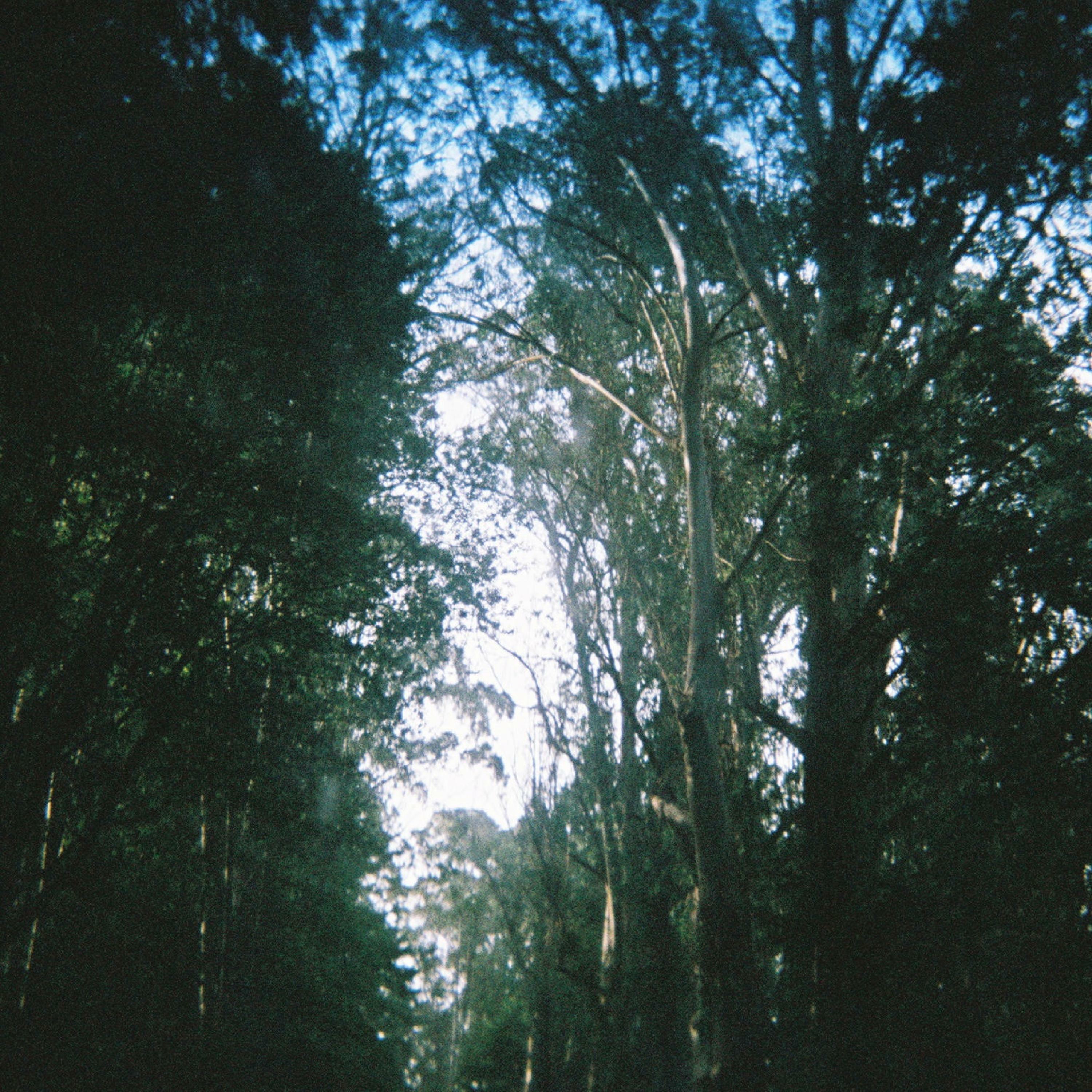 Track Image