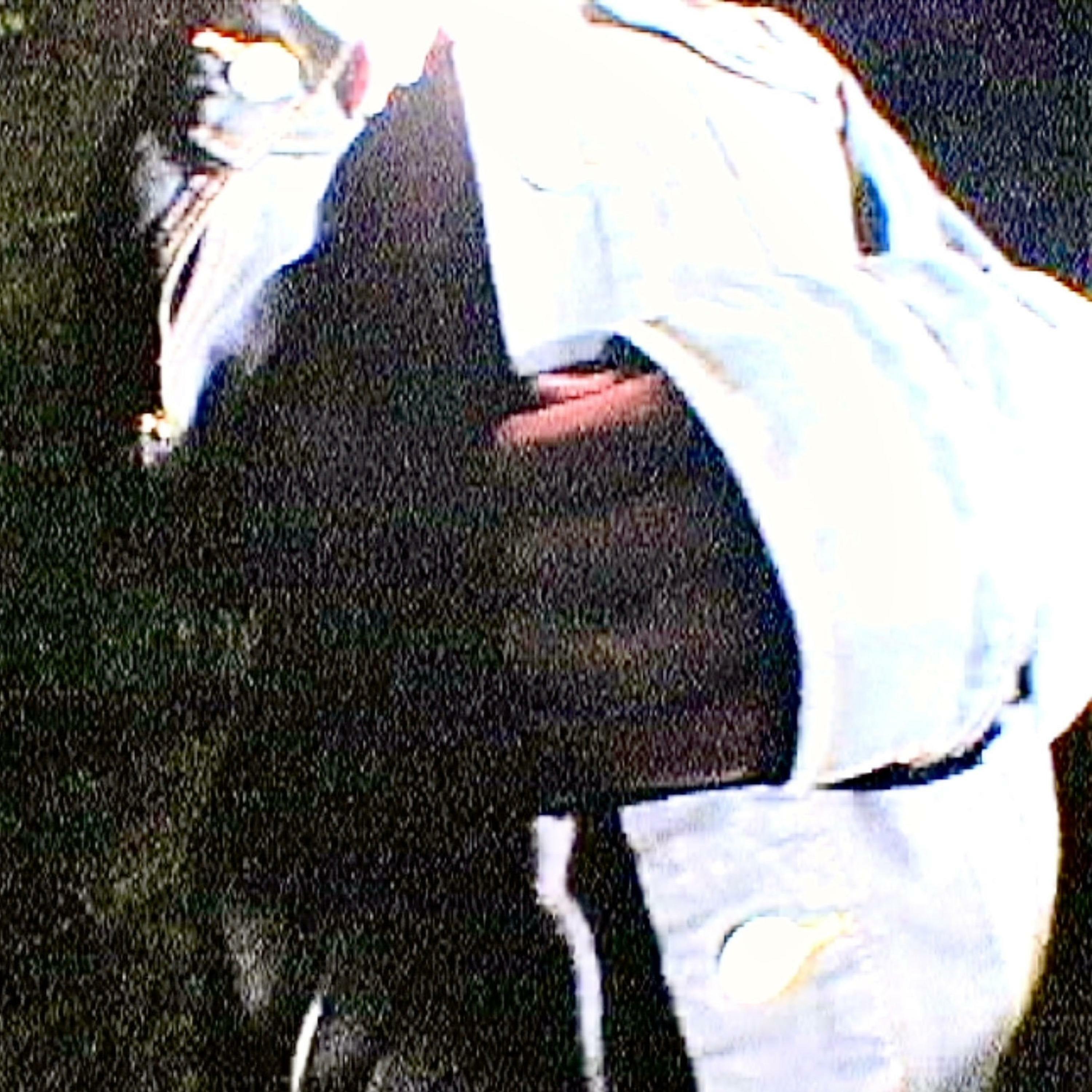 Track Image