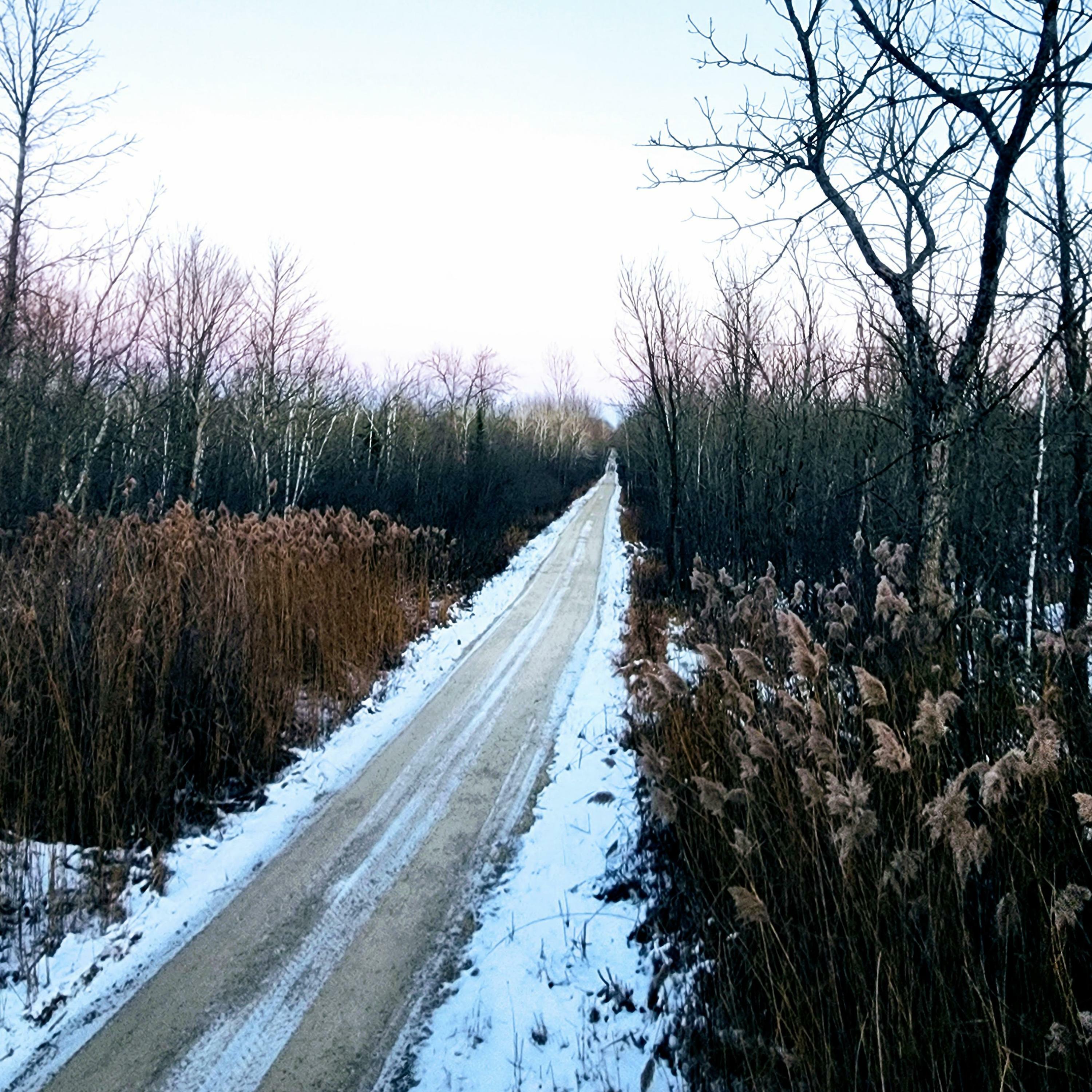 Track Image