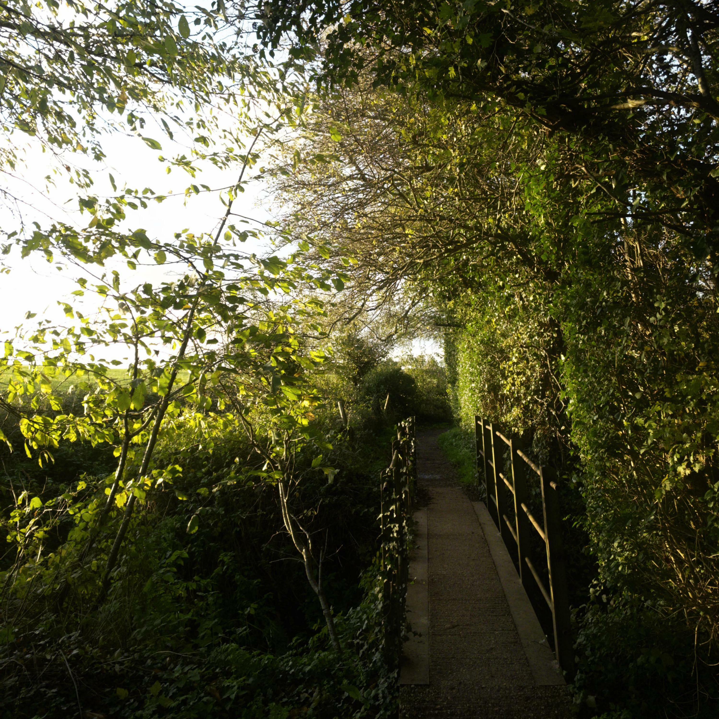 Track Image