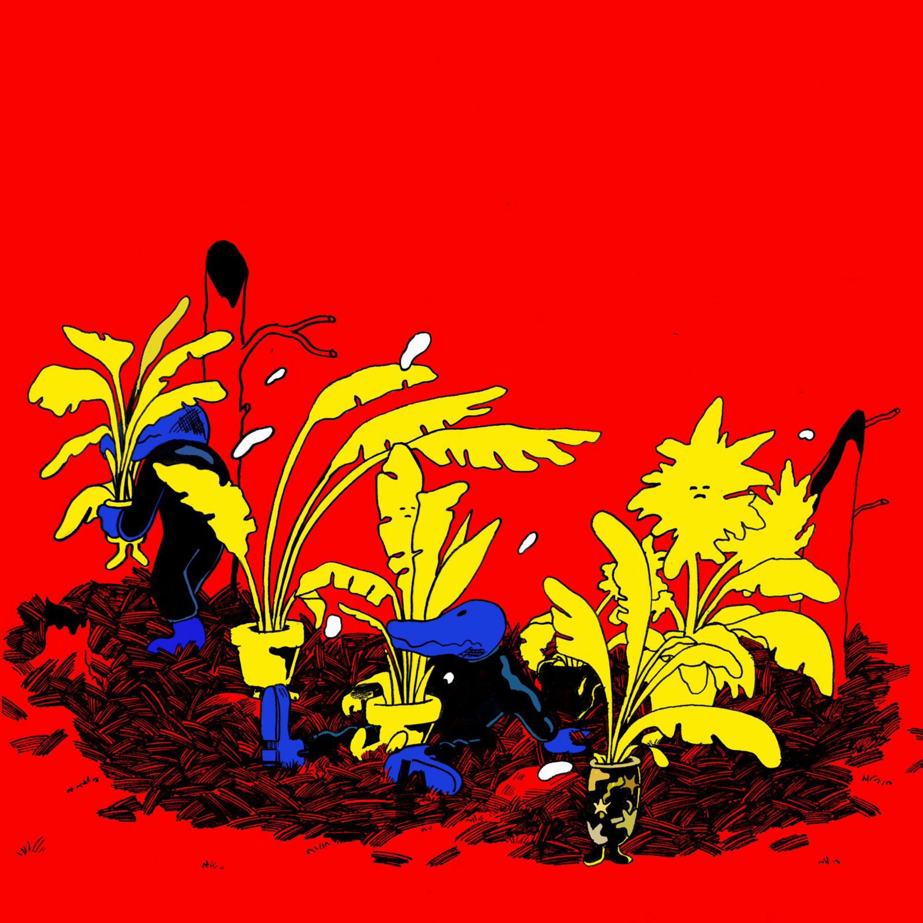 Track Image