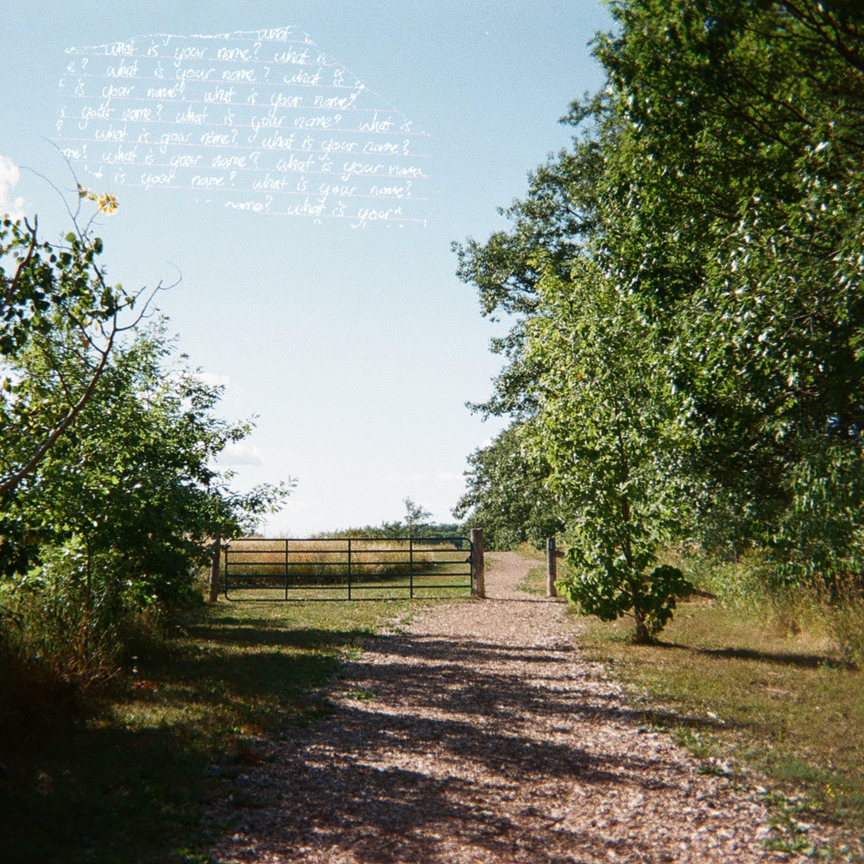 Track Image