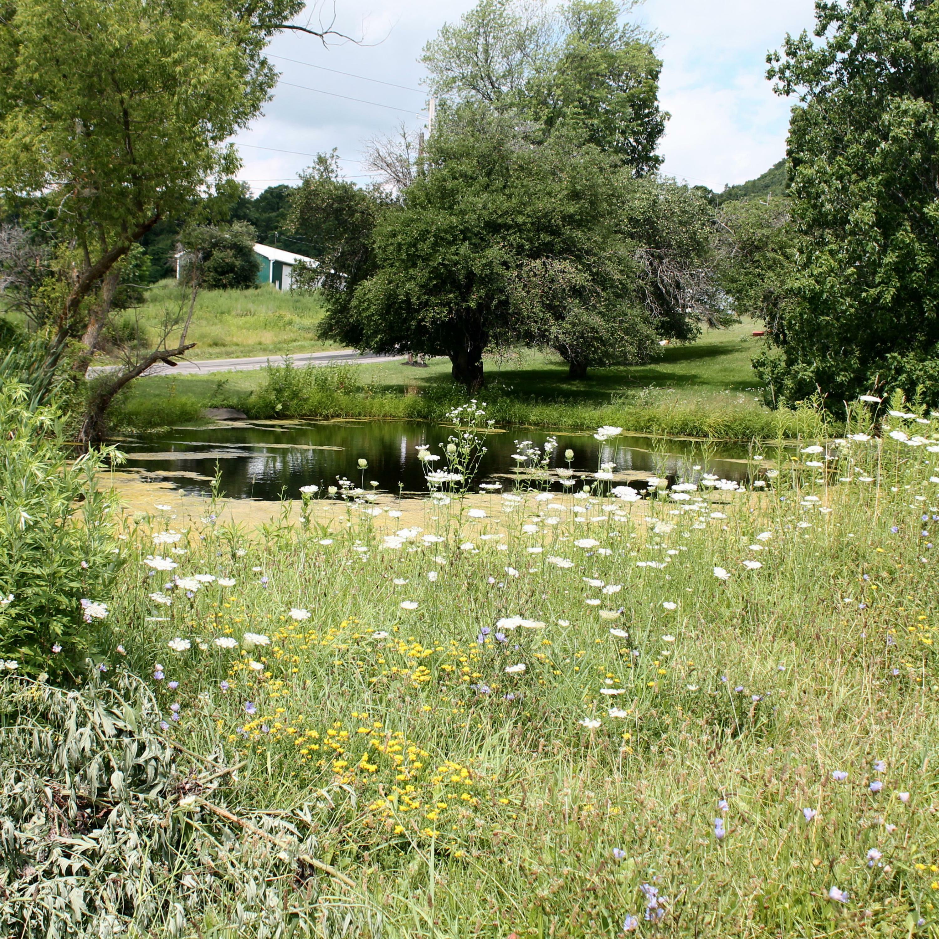 Track Image