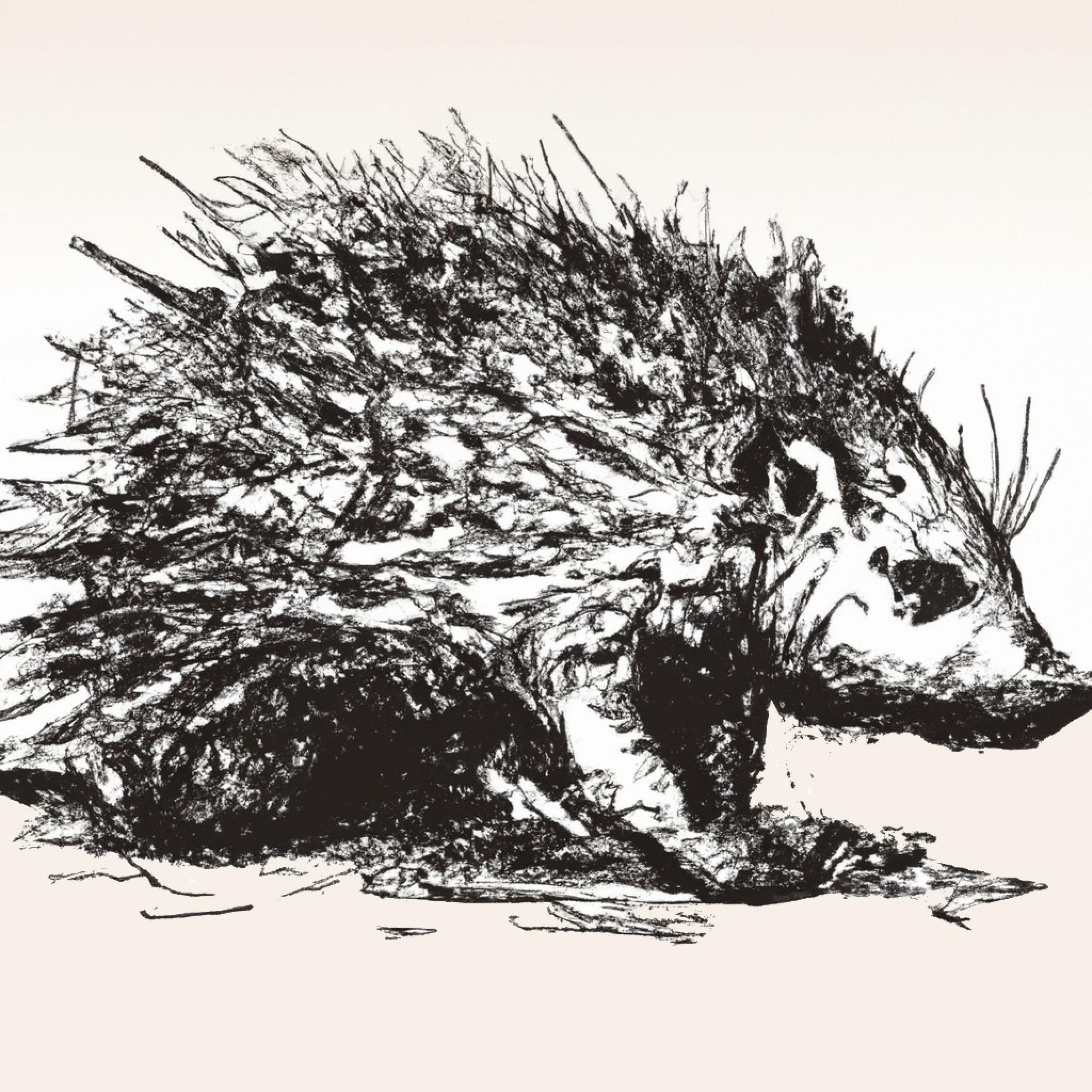 Track Image