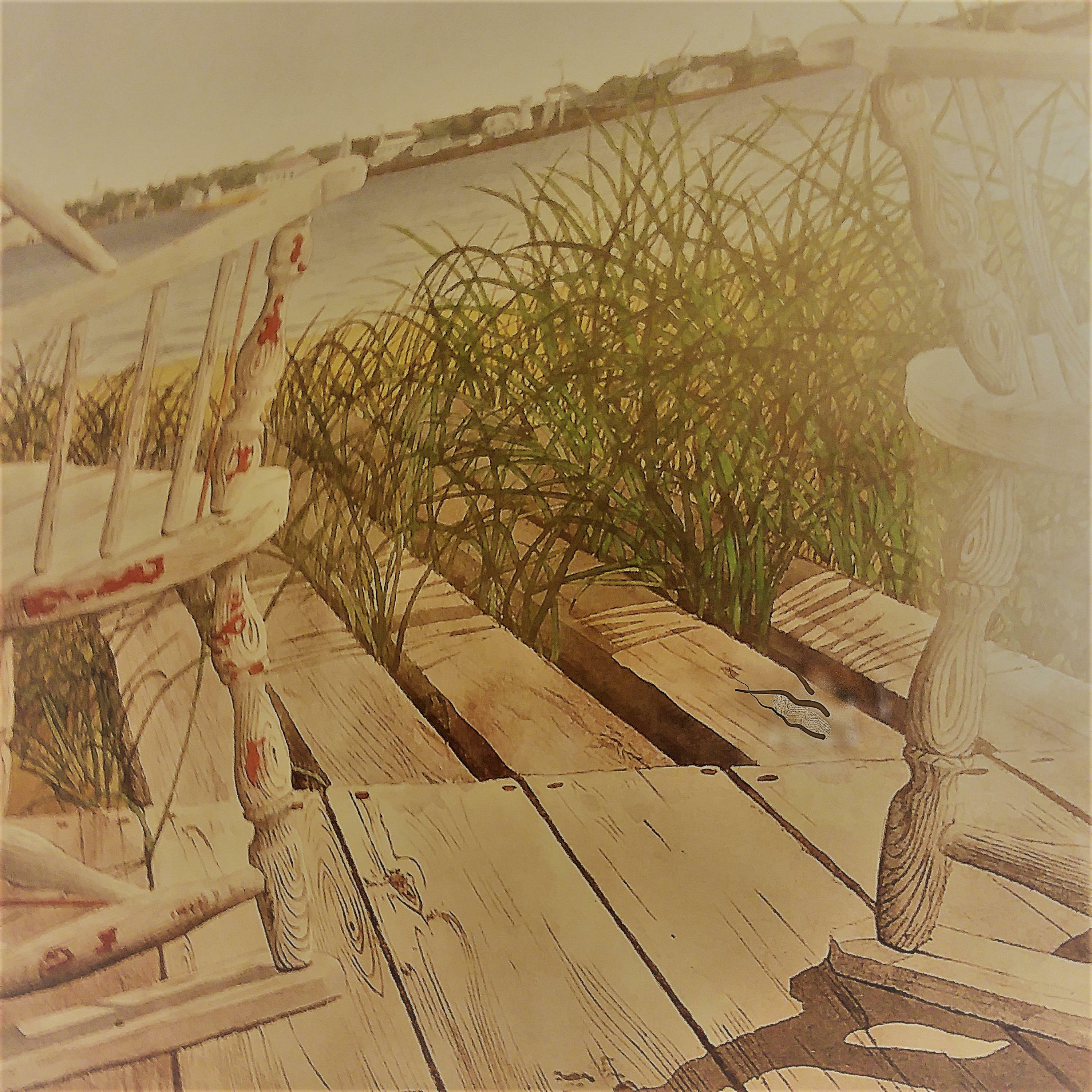 Track Image
