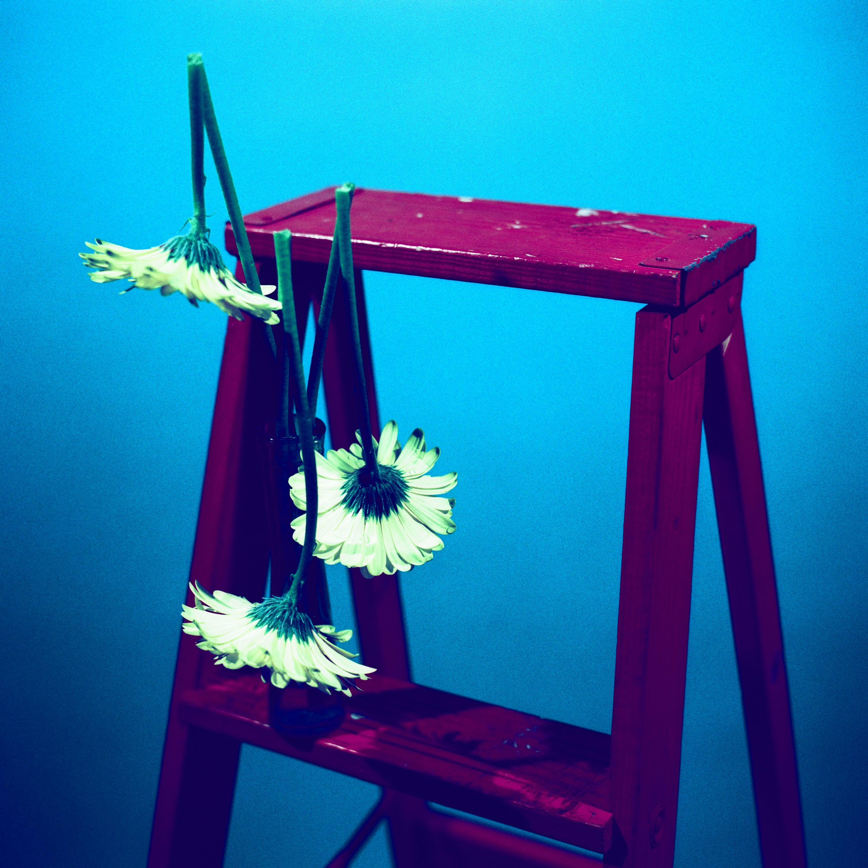 Track Image